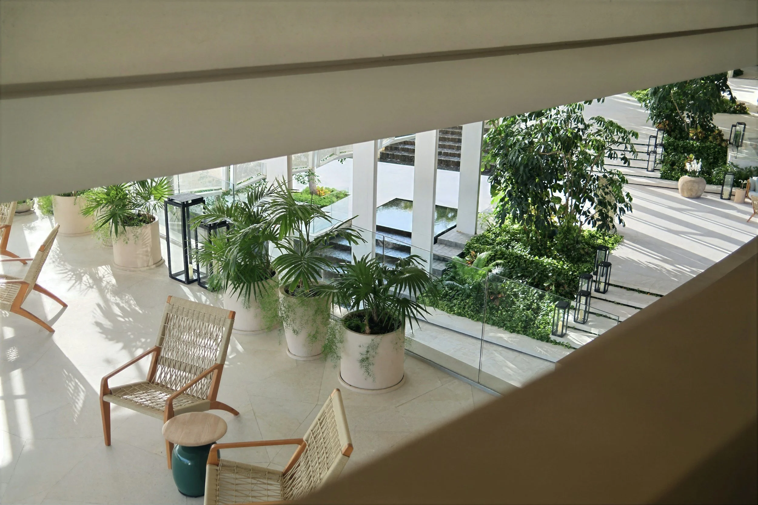 How Do You Choose the Right Plants for a Hotel Lobby?