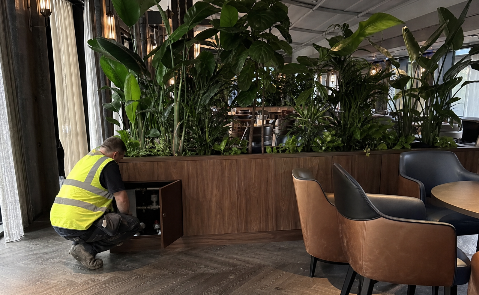 When Does an Indoor Planting Scheme Need an Irrigation System?