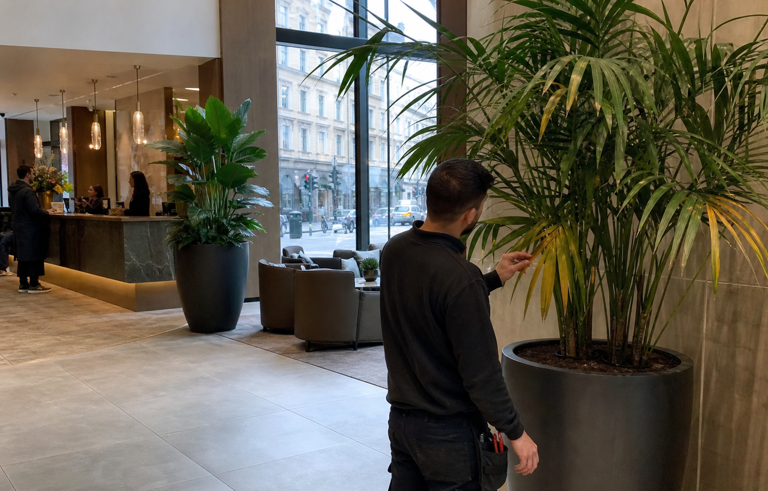 When Should Hotel Plants Be Revived Rather Than Replaced?