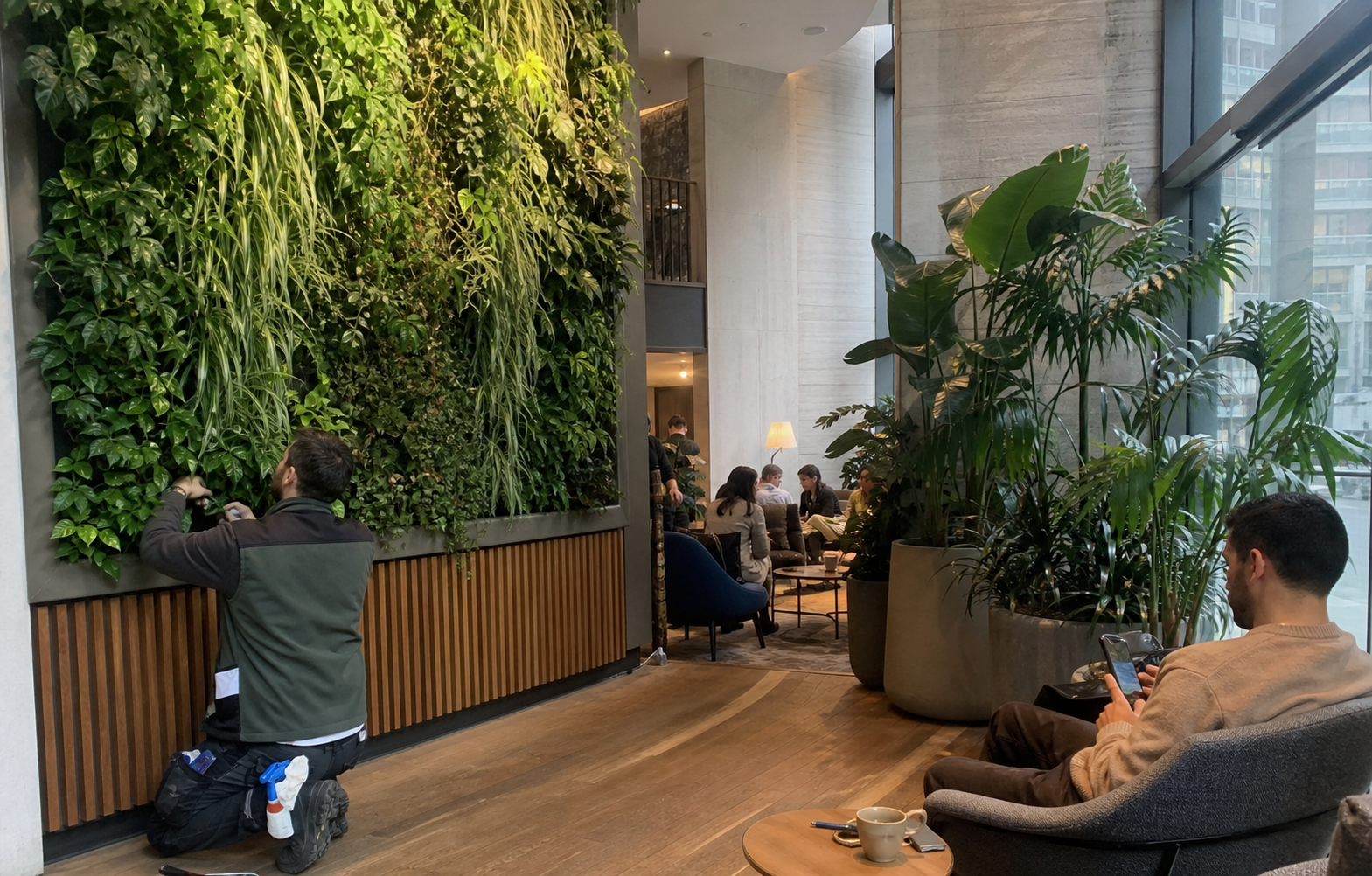 Living Wall or Potted Plants: Which Is Easier to Maintain?