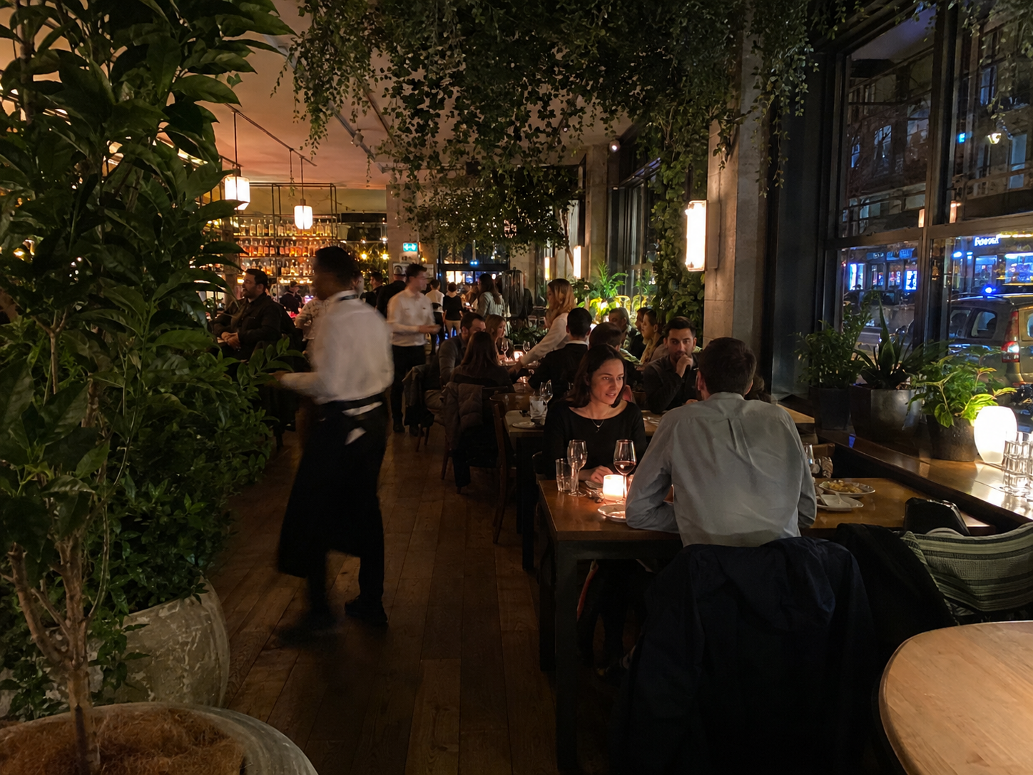 How Do You Keep Indoor Plants Alive in a Restaurant?