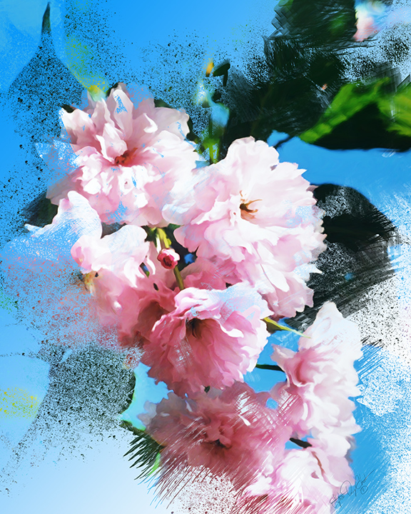 Abstract Cherry Blossom