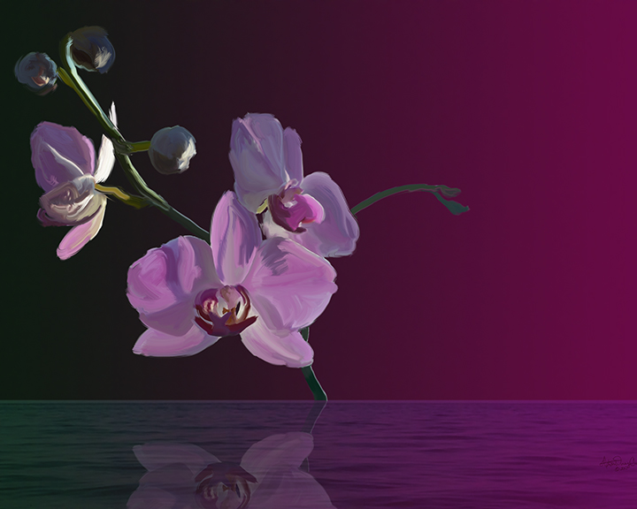 Minimalist Orchid