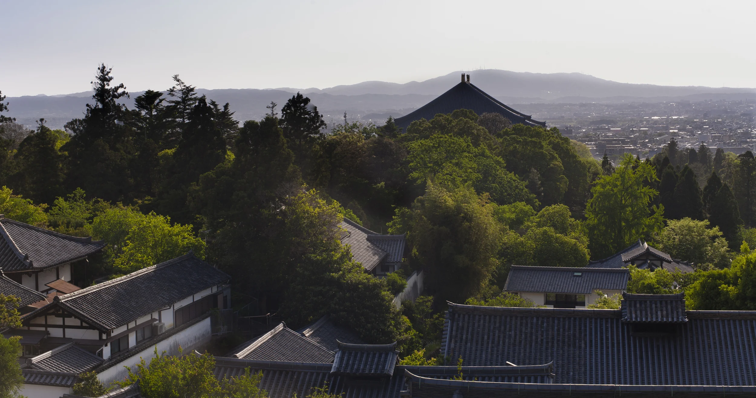 日本奈良市 (Nara, Japan)