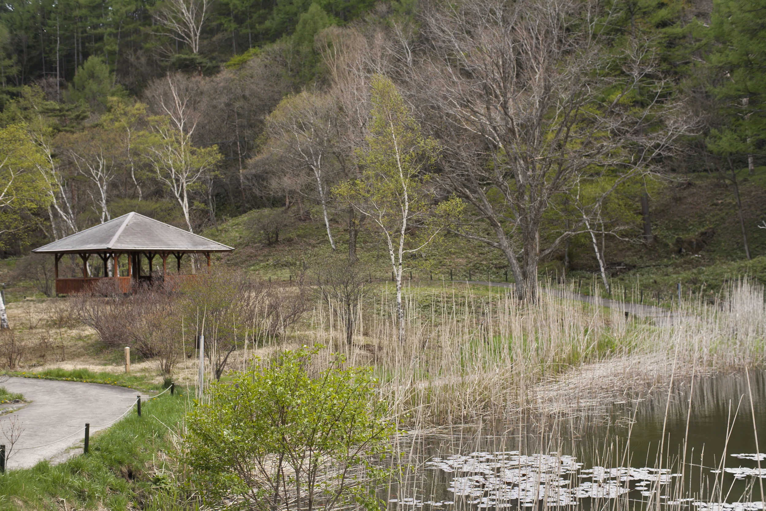 日本草津市 (Kusatsu, Japan)