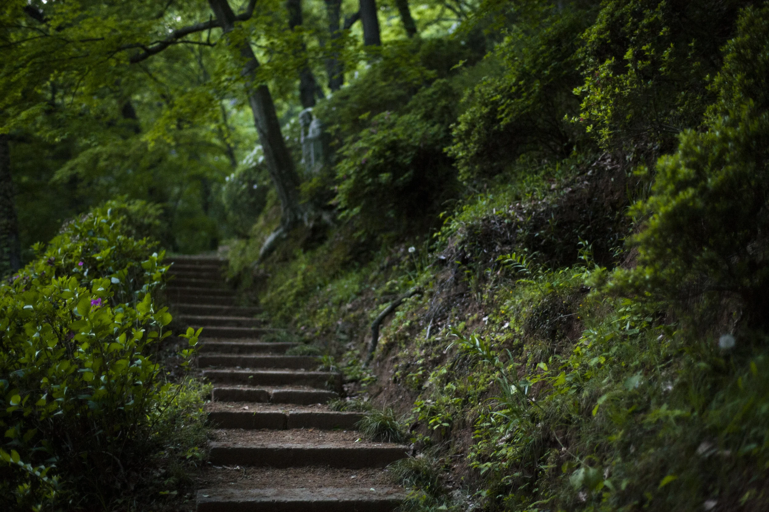 日本相模原市 (Sagamihara, Japan)