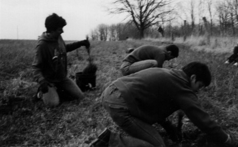 about_tree planting.jpeg
