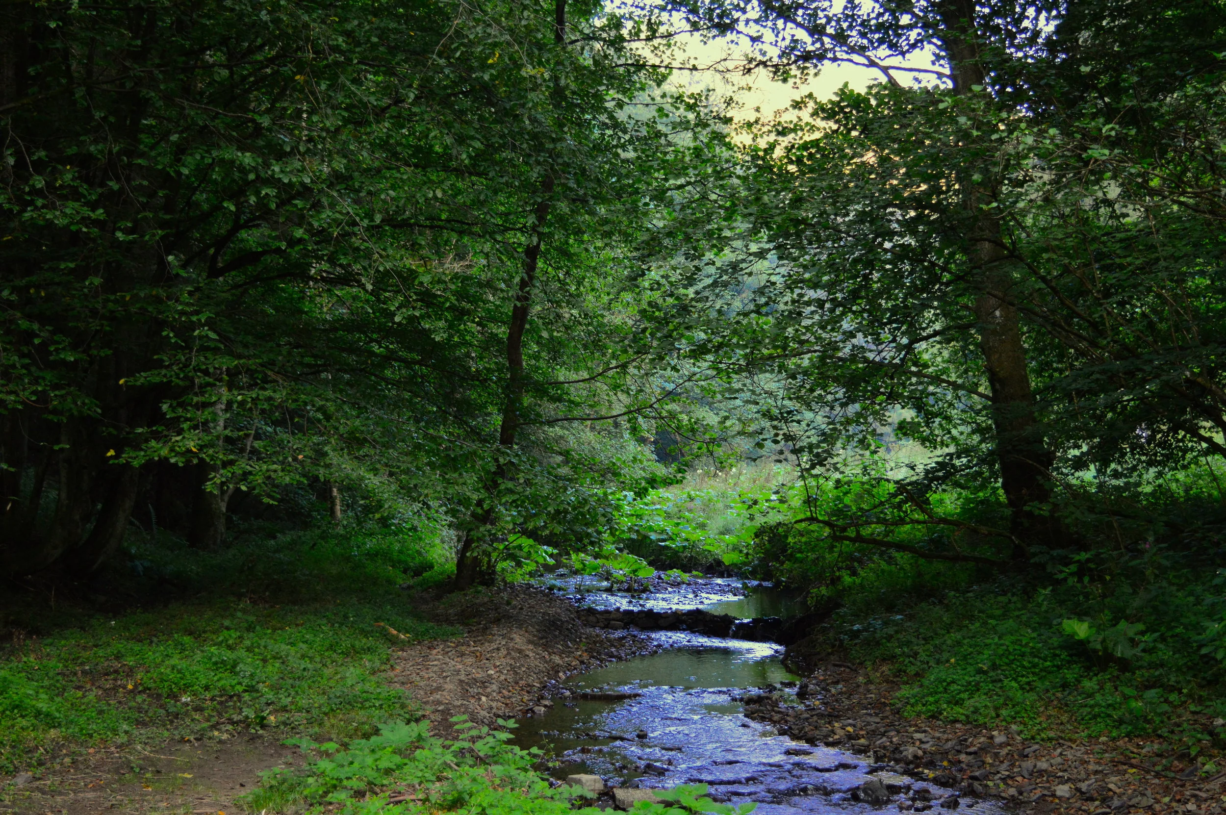 DSC_0978.JPG