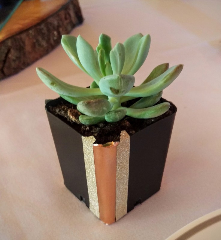 09-IMAG2203.jpg