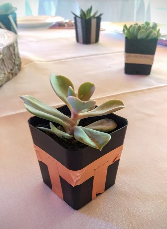 09-IMAG2213.jpg