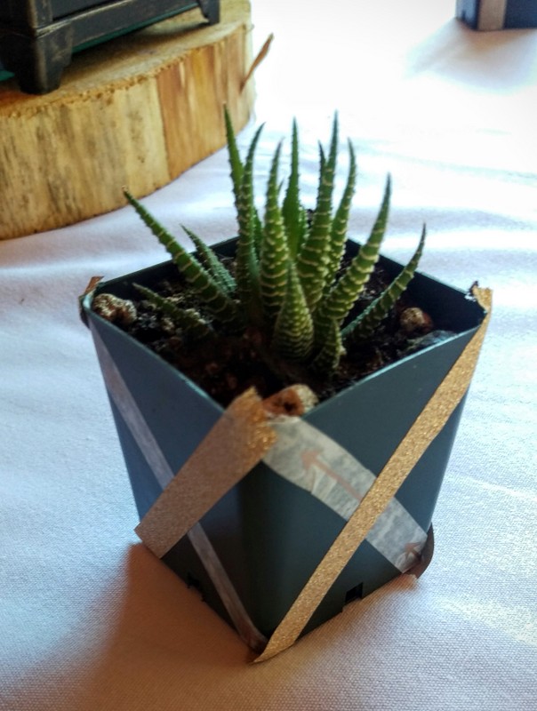 06-IMAG2220.jpg