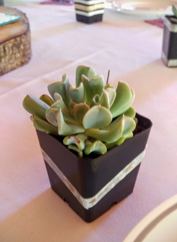 08-IMAG2184.jpg