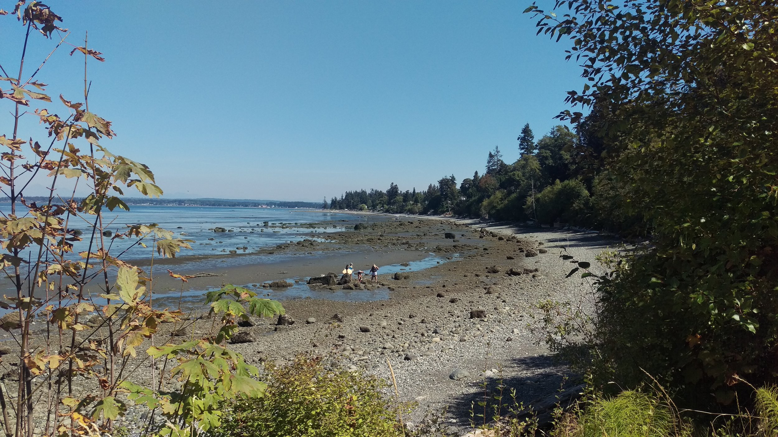 The Pacific Northwest is alright.