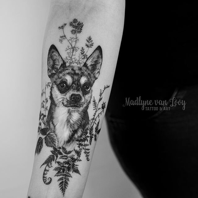 Dieser kleine Kerl musste einfach t&auml;towiert werden! So ein h&uuml;bsches und niedliches Gesicht 😍❤️
&bull;
&bull;
&bull;
&bull;
&bull;
#dogtattoo #rghtstuff #femaletattoo #naturetattoos #animaltattoo #animaltattoos #naturetattoo #ttism #feminin