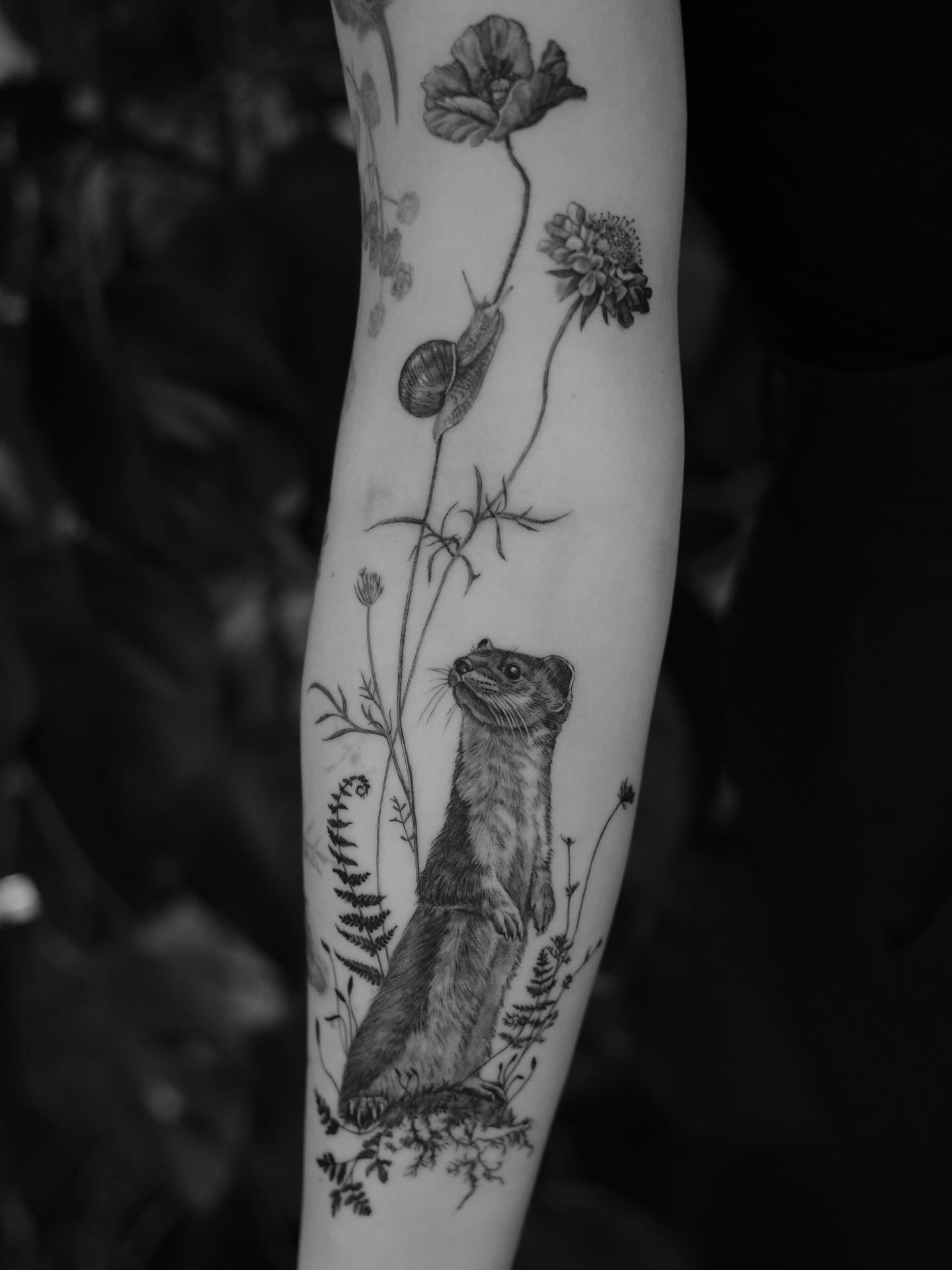 First day @colpa.nostra  with @nnenaya and @willrbird !
Thanks again for your hospitality!! 

Little ermine/stoat for Nadine with a tiny roman snail

#stoat #weasletattoo #animaltattoo #ermine #naturetattoo
