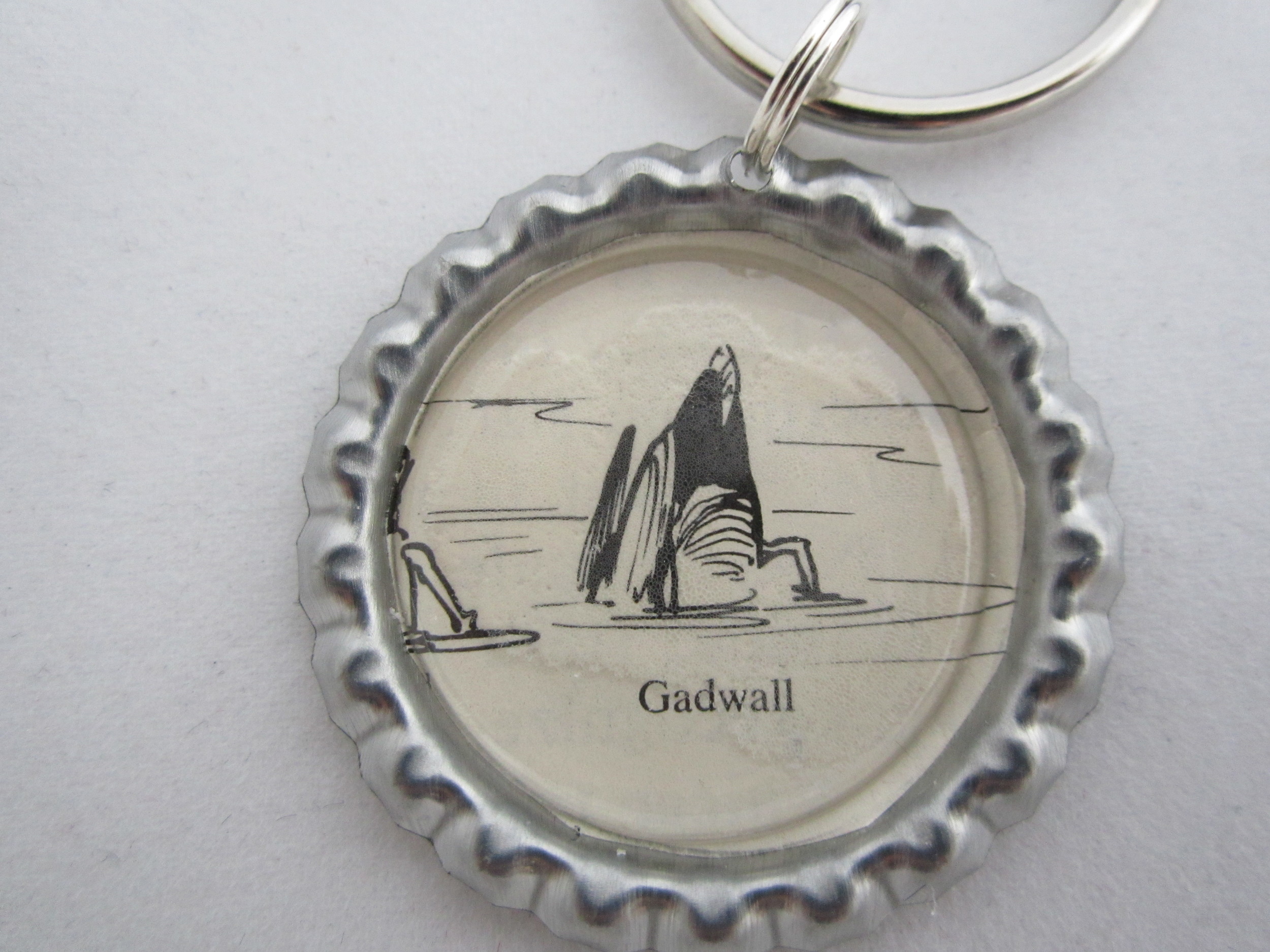 Gadwall Tail Key Chain 2.JPG