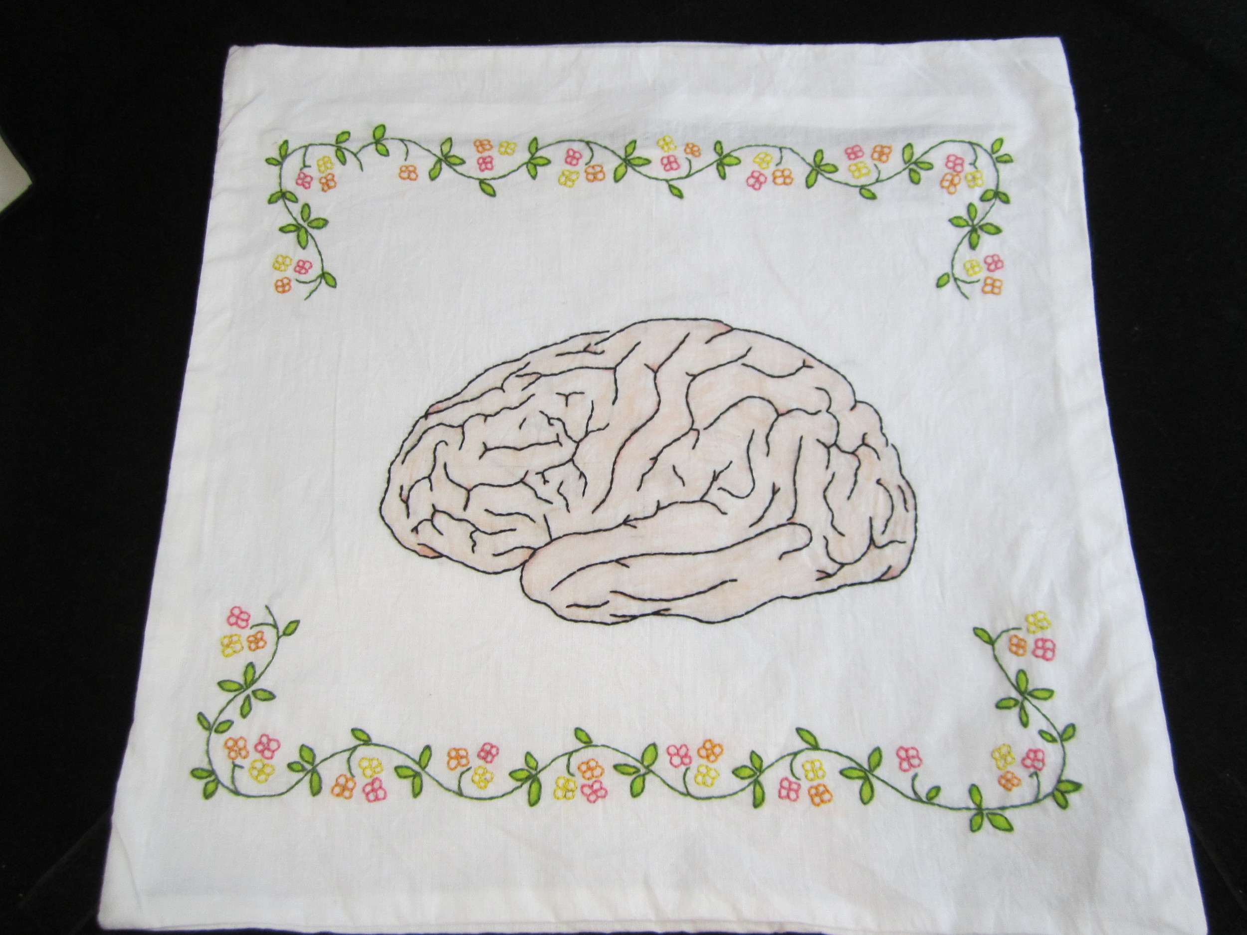 Brain Pillowcase 5.JPG