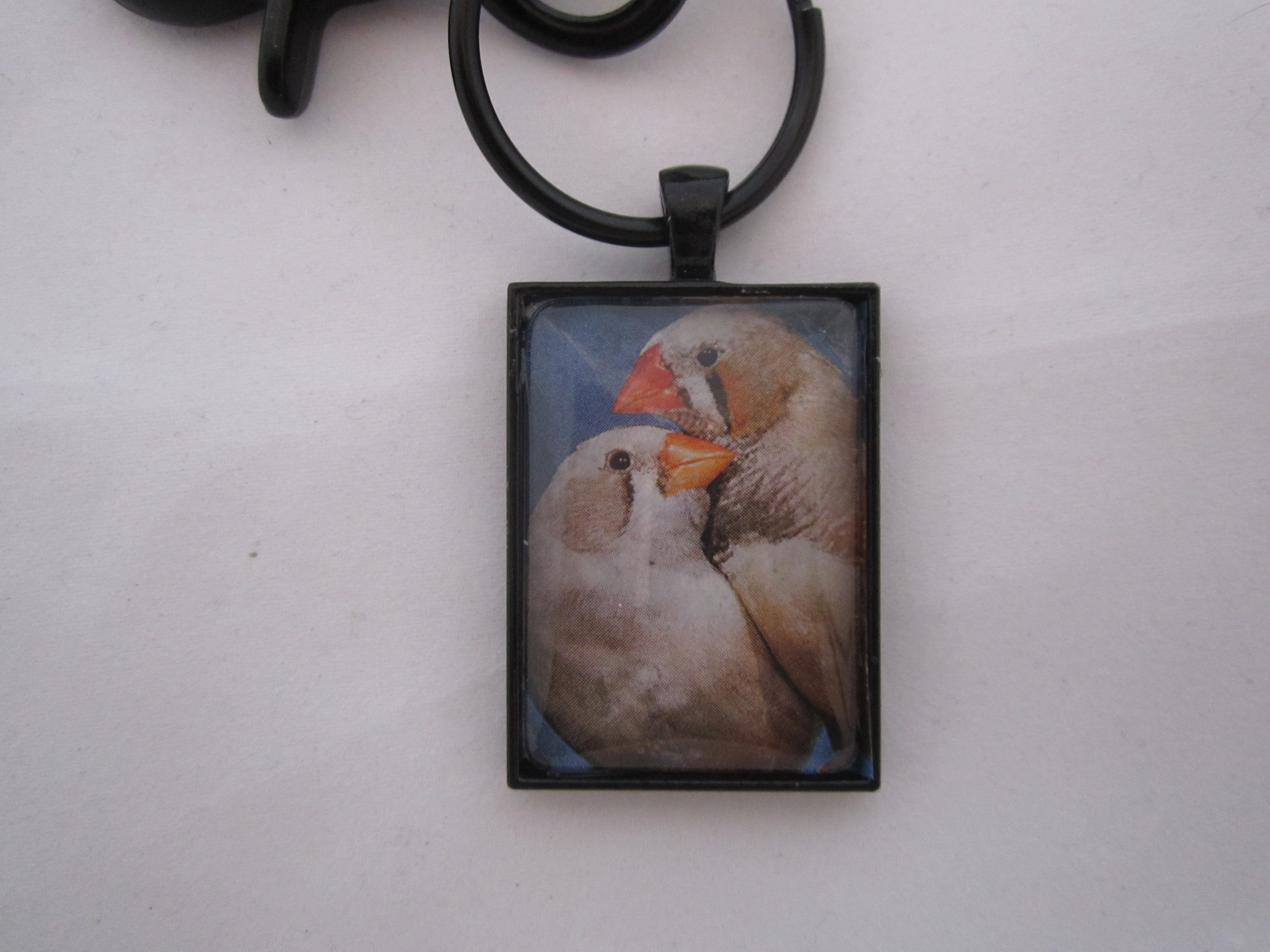 Zebra Finches Keychain 2.JPG