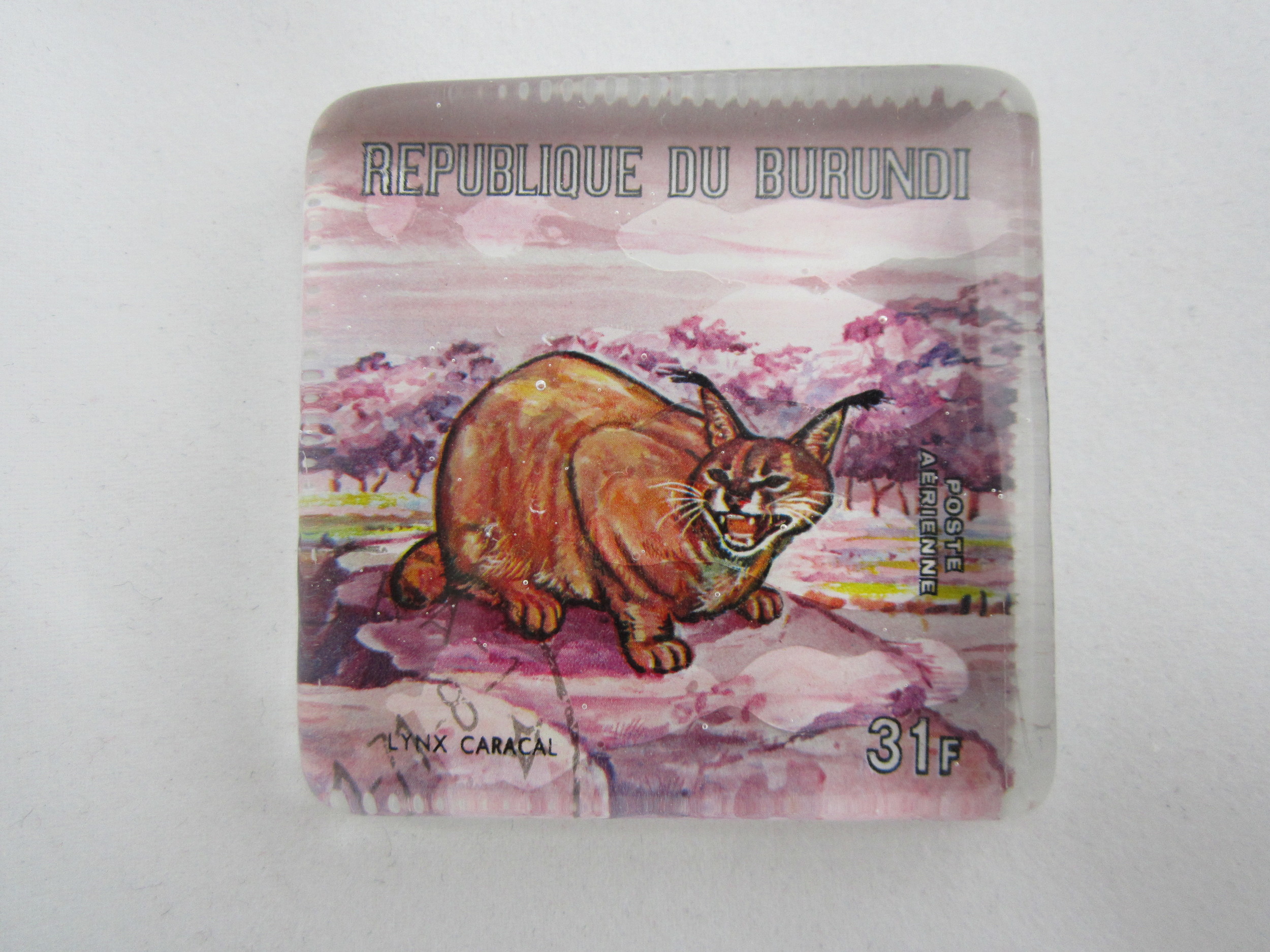 Caracal Stamp Paperweight 2.JPG