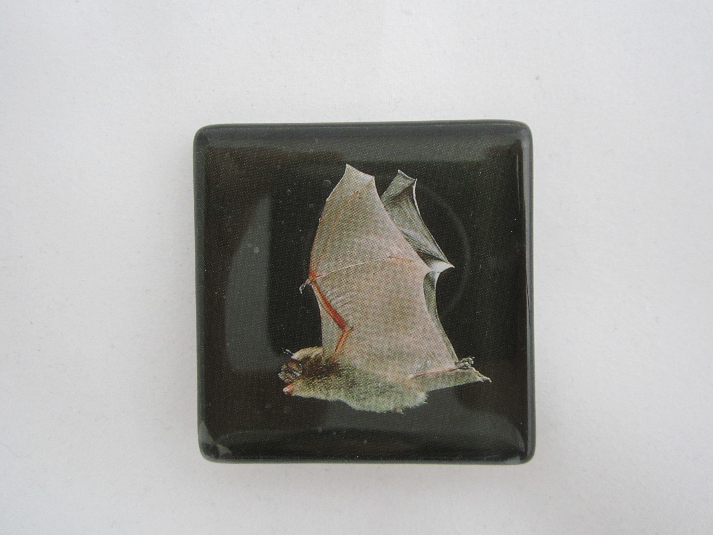 2nd Flying Bat Magnet 2.JPG