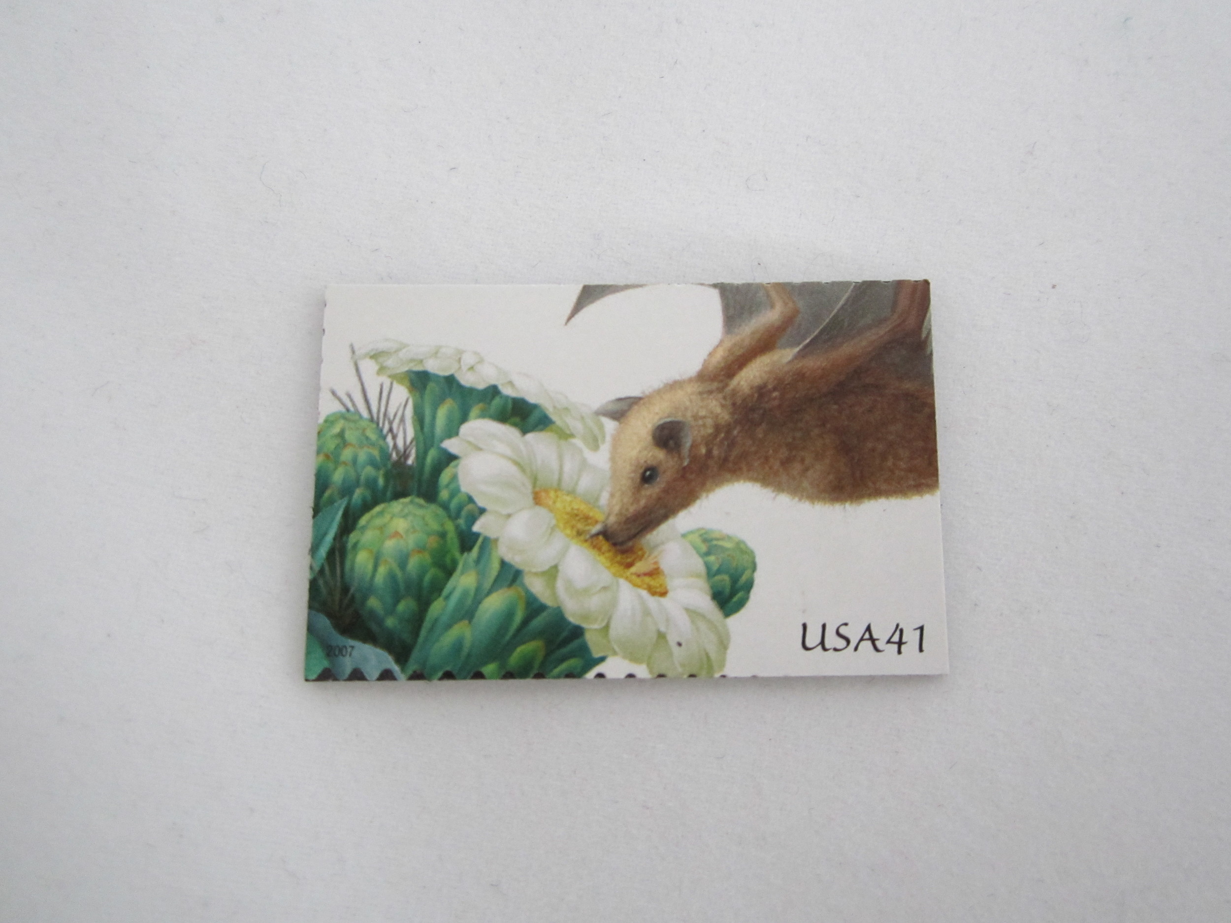 Fruit Bat Stamp Magnet 2.JPG