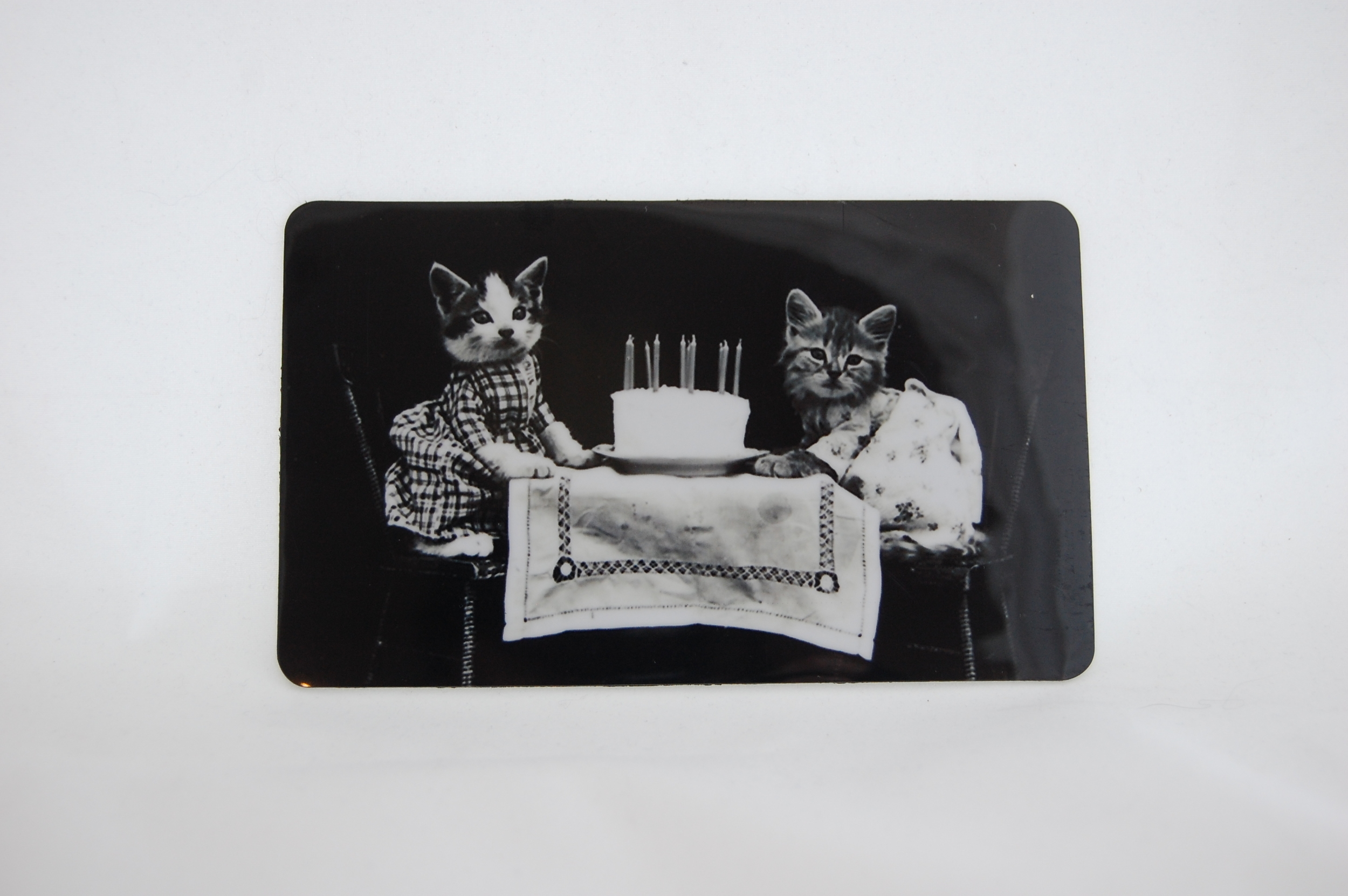 Kitten Birthday Magnet 1.JPG