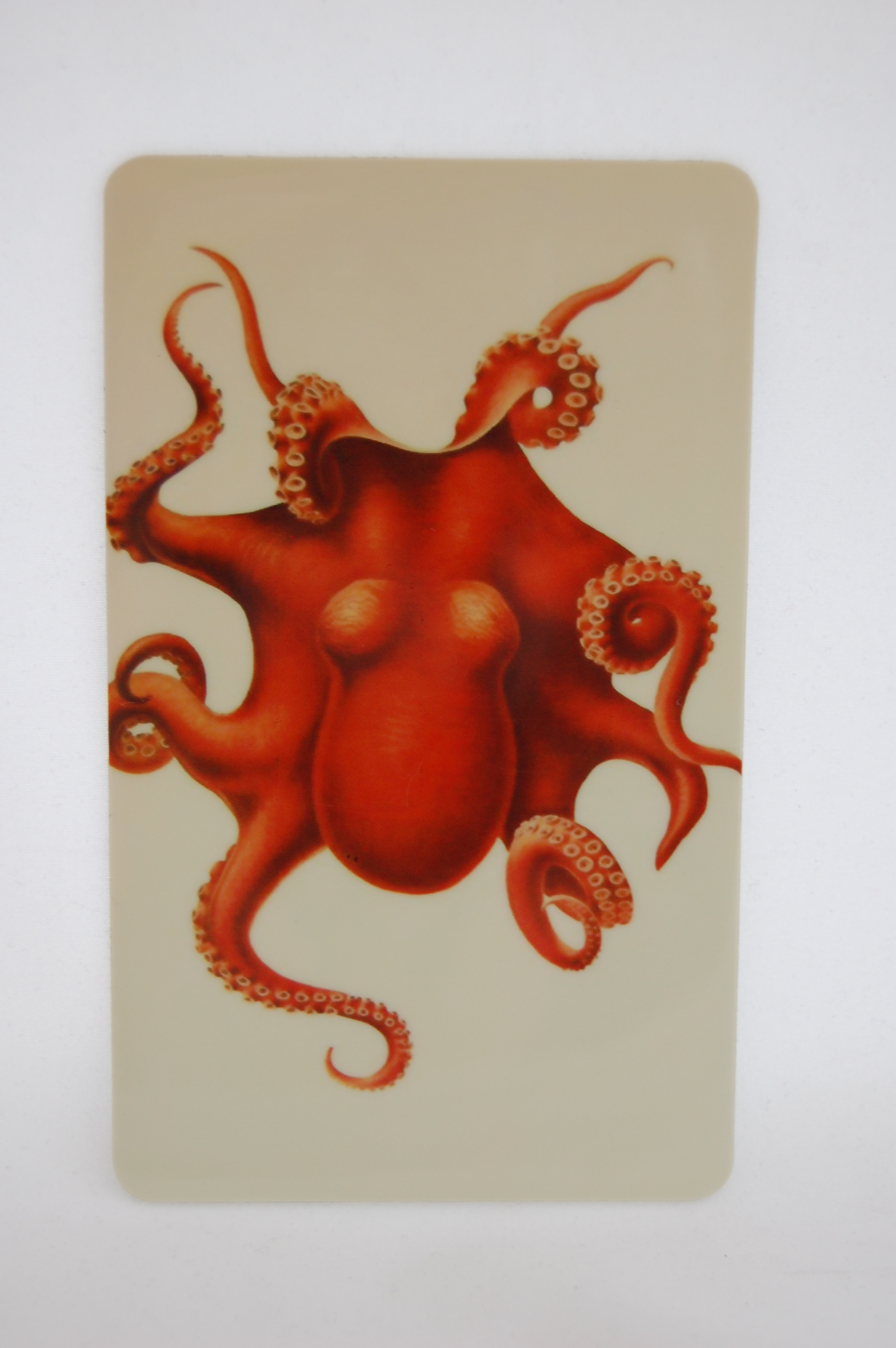 Orange Octopus Magnet 3.JPG
