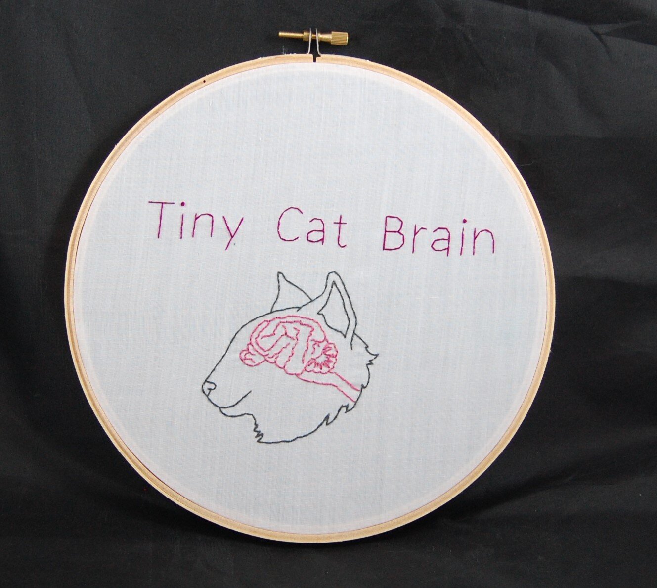 2nd Tiny Cat Brain 1.JPG