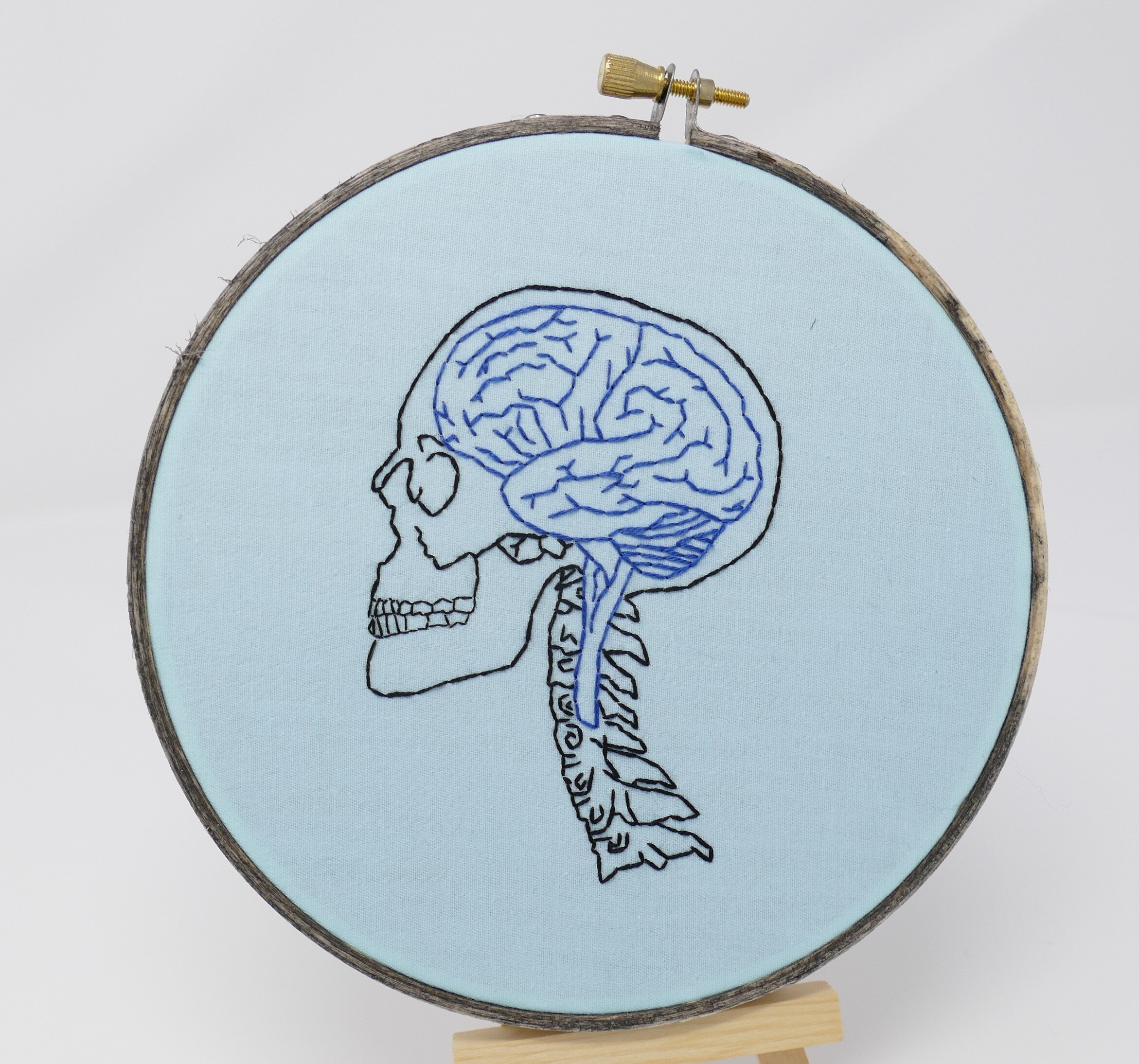 Blue Brain, Skull, SC 12620 3.JPG