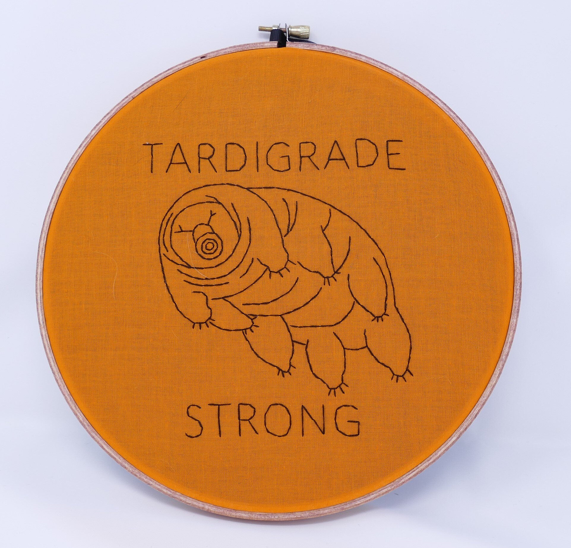 Orange Tardigrade Strong 7.JPG