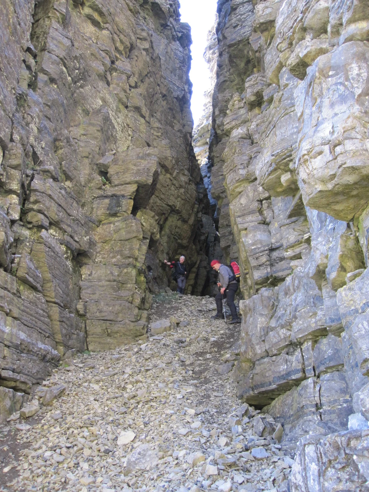 PINNACLE GULLY