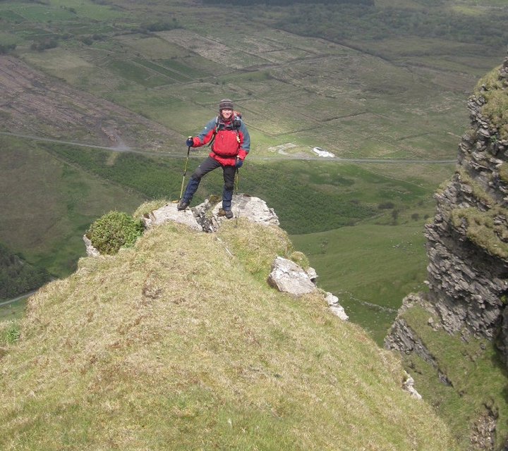 The Rare "Tea Leaf Willow" plant found on North Face Gully Benbulben, overlooking the Gortarowey Walk . This rare Irish Willow is only found on Benbulben and is a relic from the Ice Age.