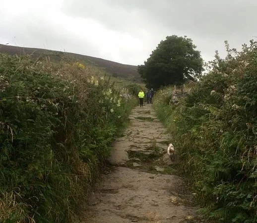 On route to Knocknarea with High Hopes Hiking