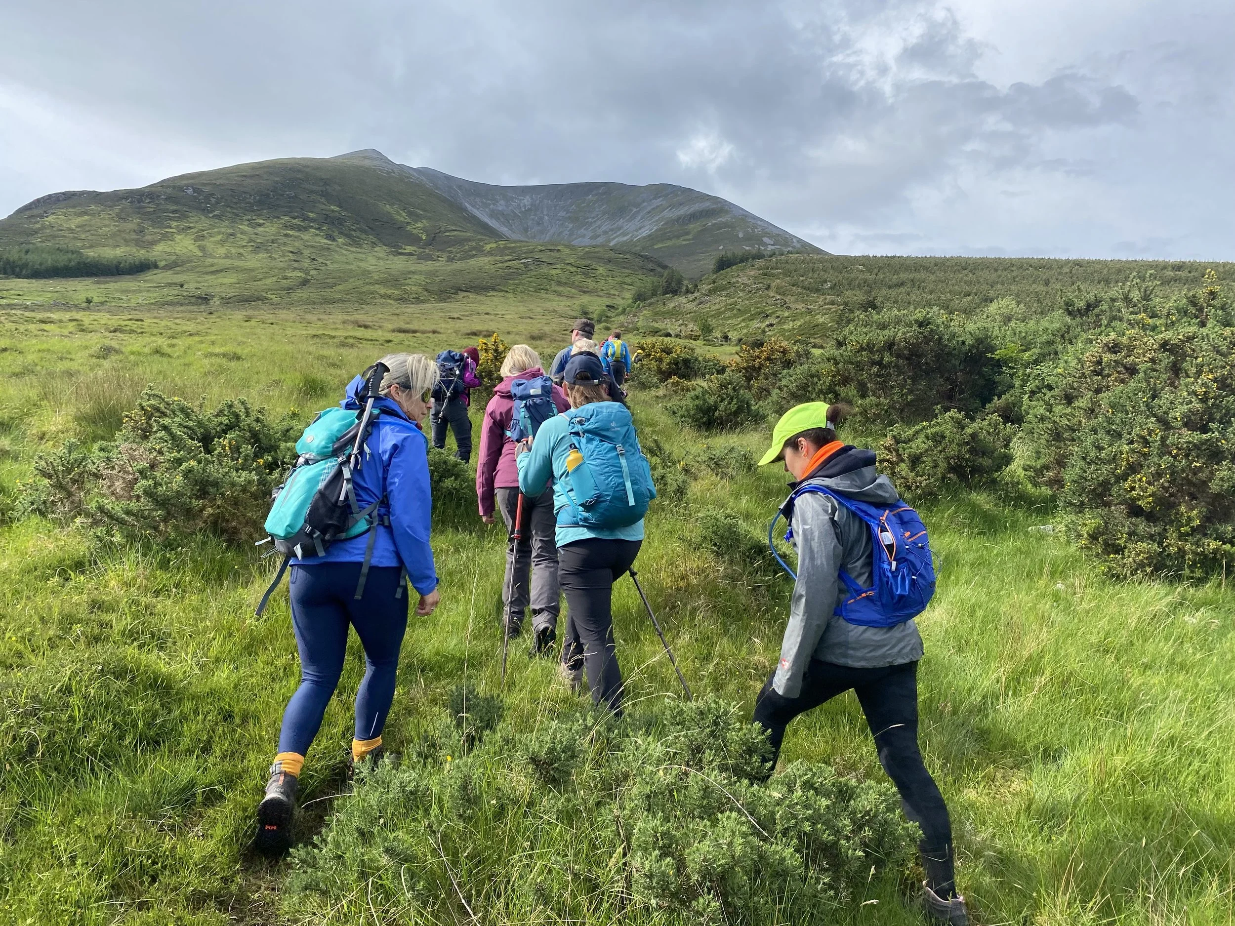 Nephin Mhor 806m Guided hike (Highest free standing mountain in Ireland)