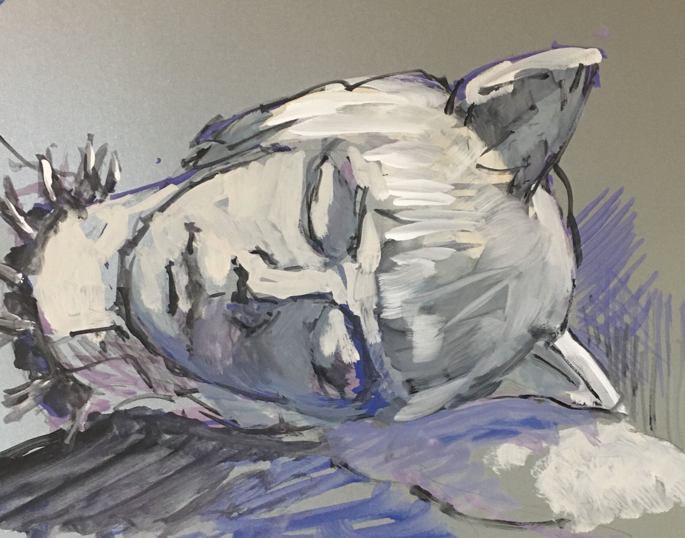 Sleeping Cat, Gouache on paper, 12 by 9 inches, 2021.