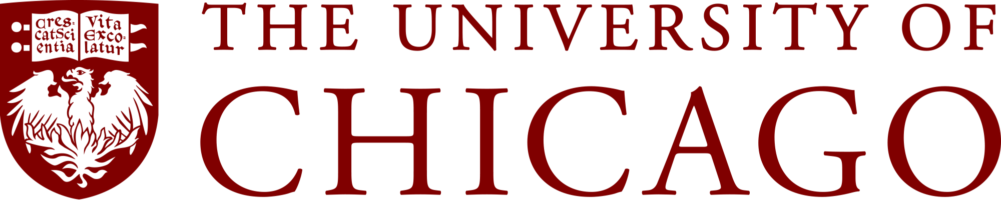 Civic Engagement University of Chicago (Copy)