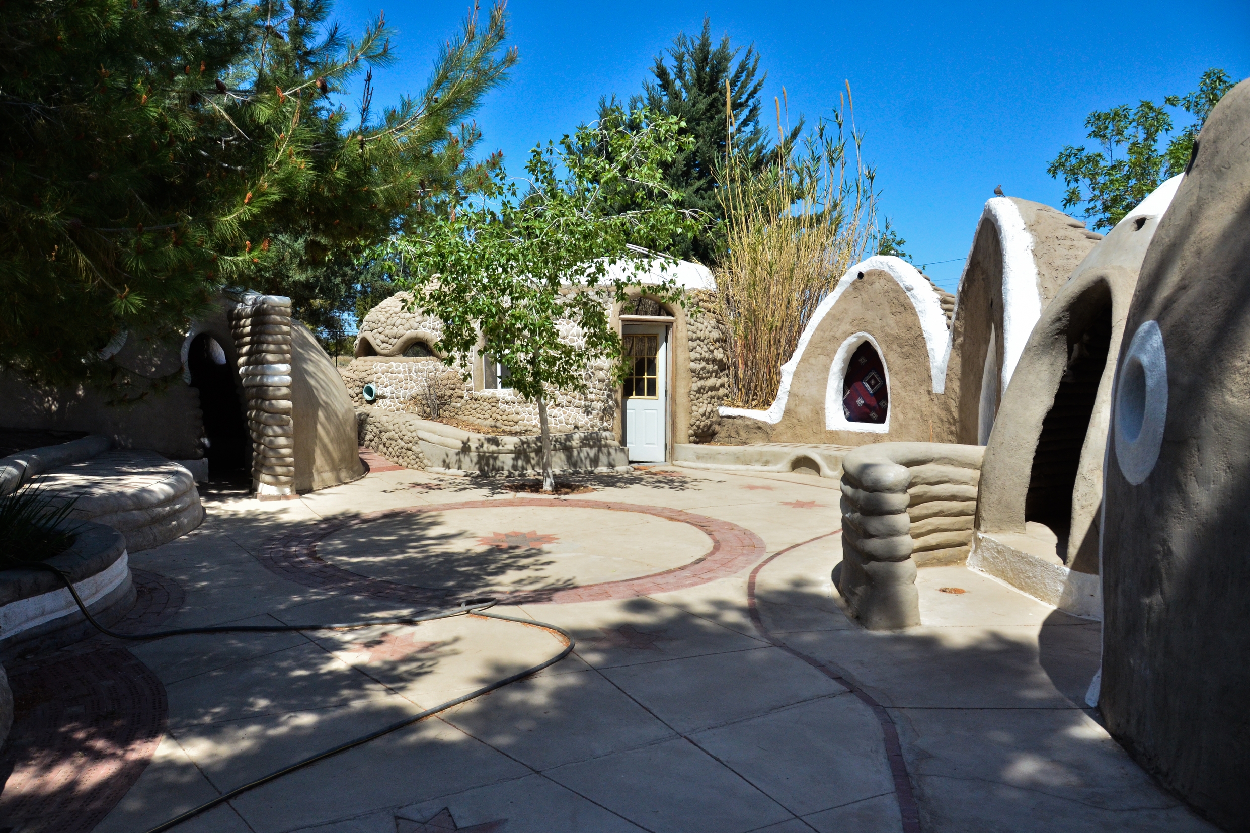 dsc_9656.jpg
