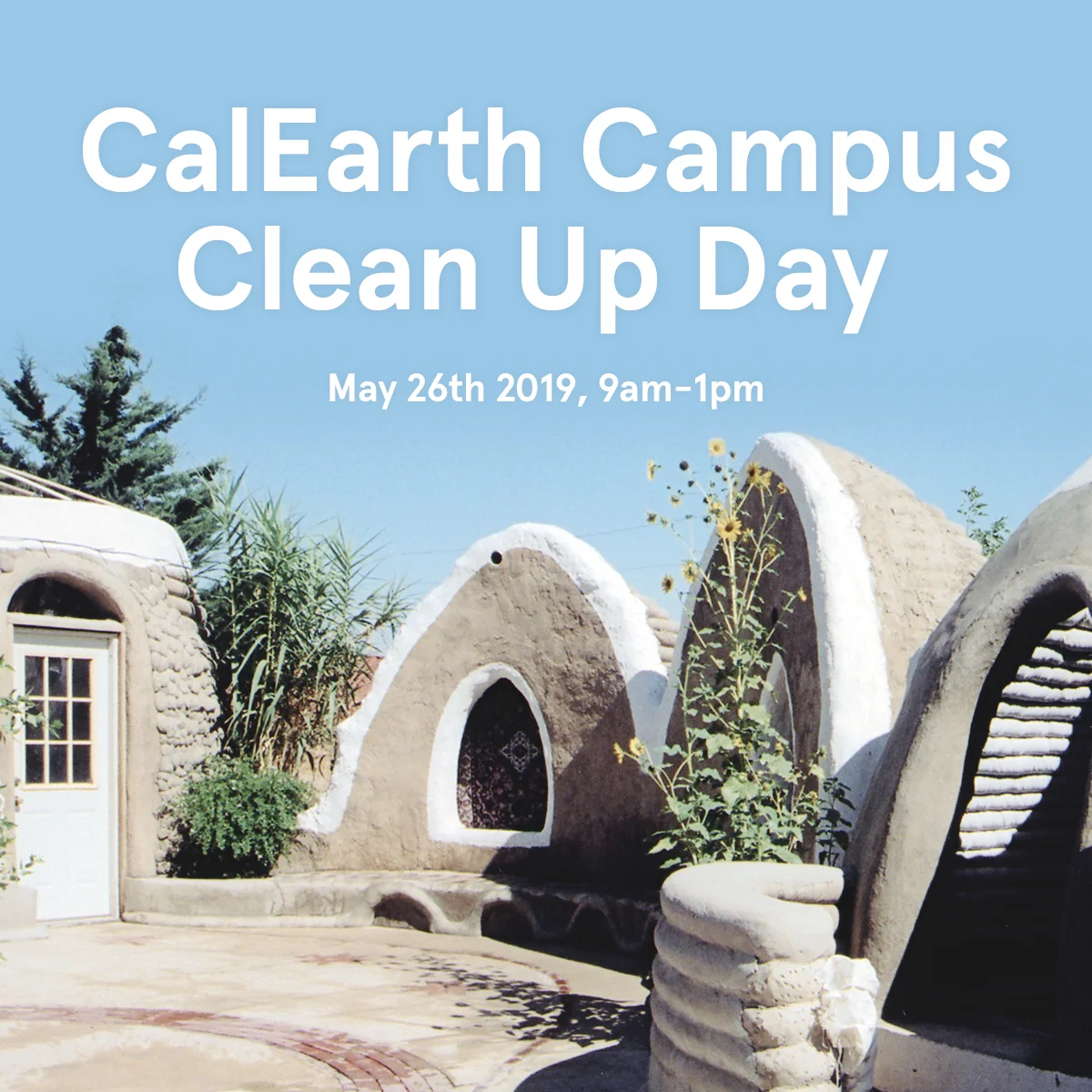CleanUp_Day_01.jpg