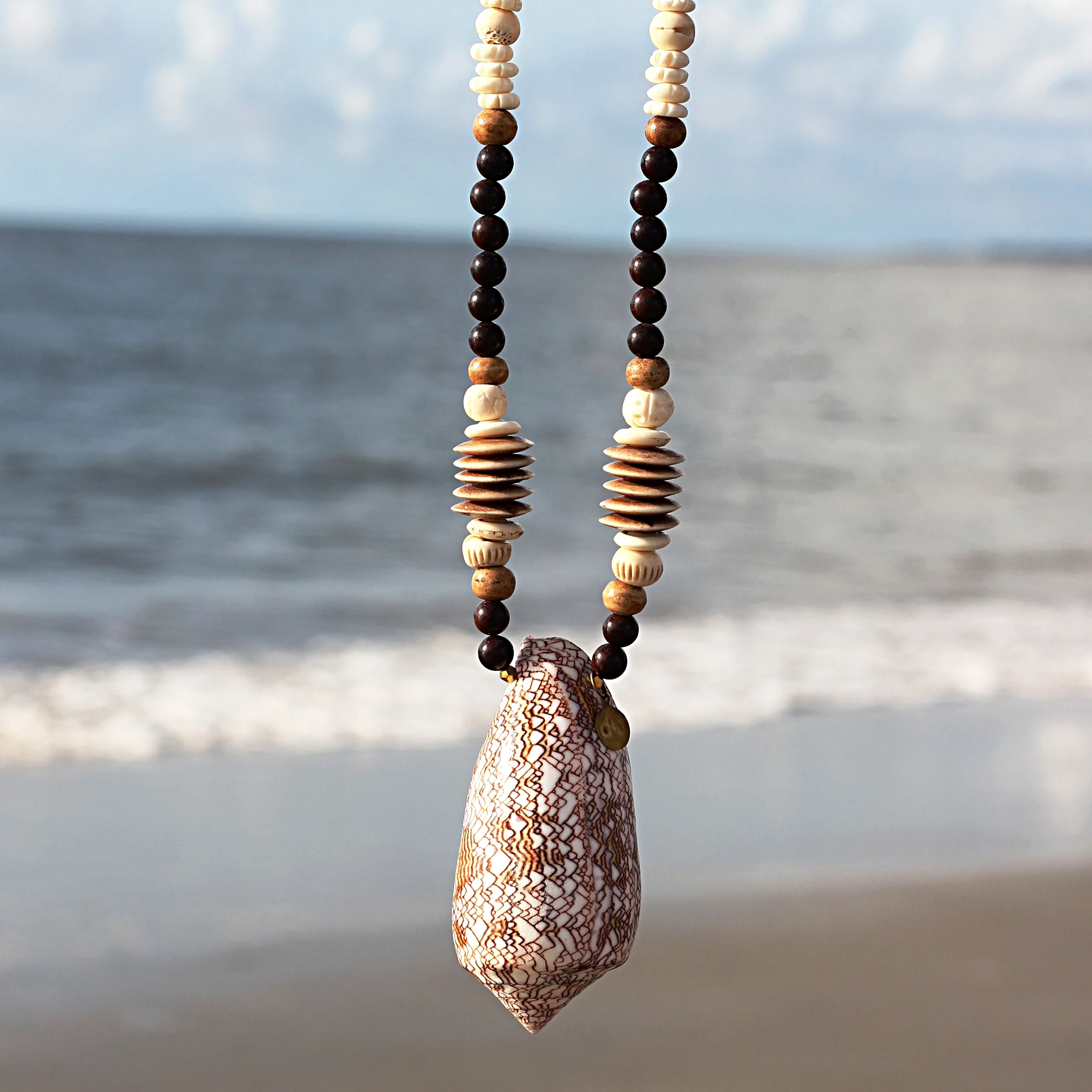 Princely Cone on Ox Bone and Driftwood