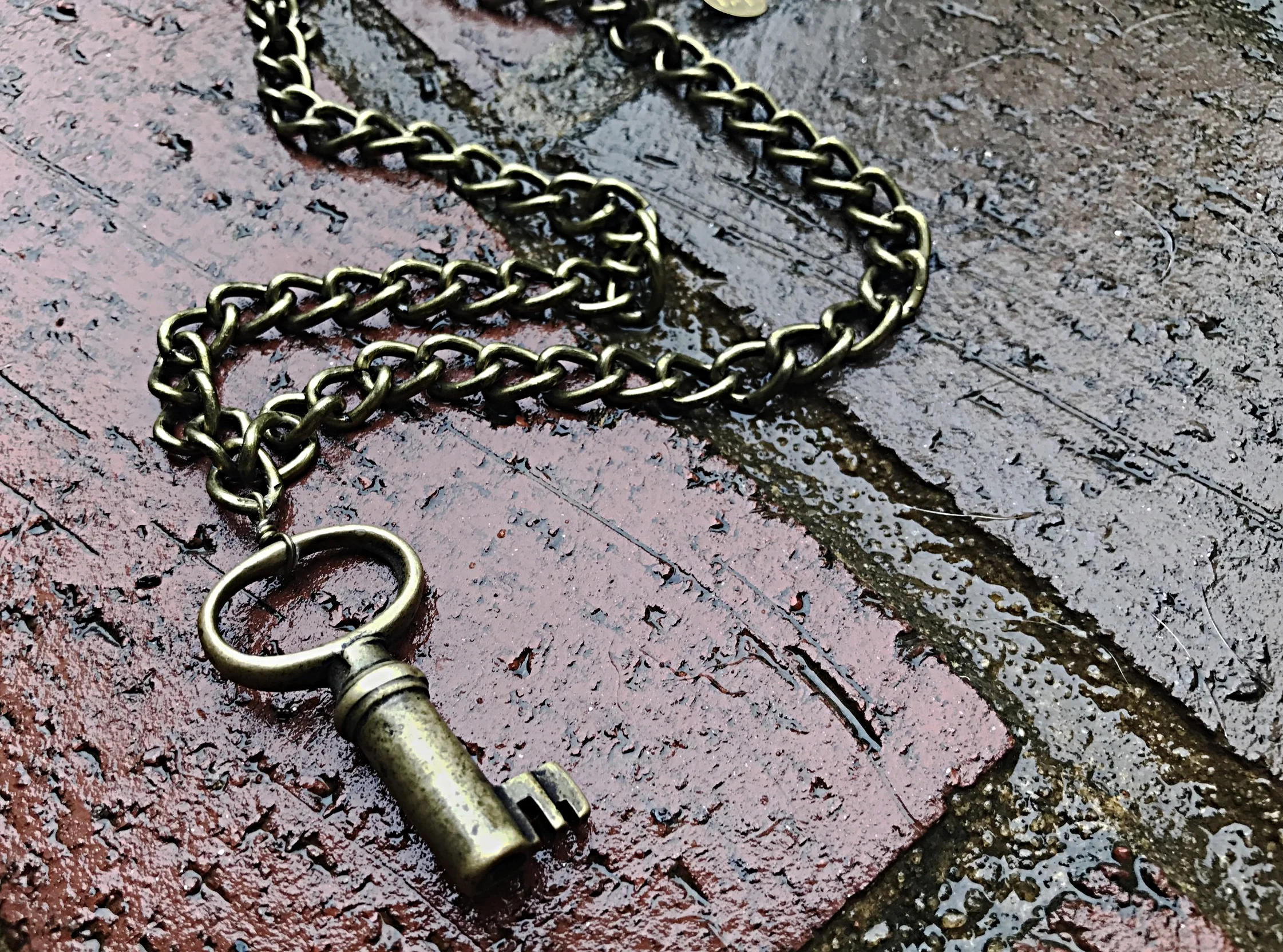 Skeleton Key on Bronze Chain