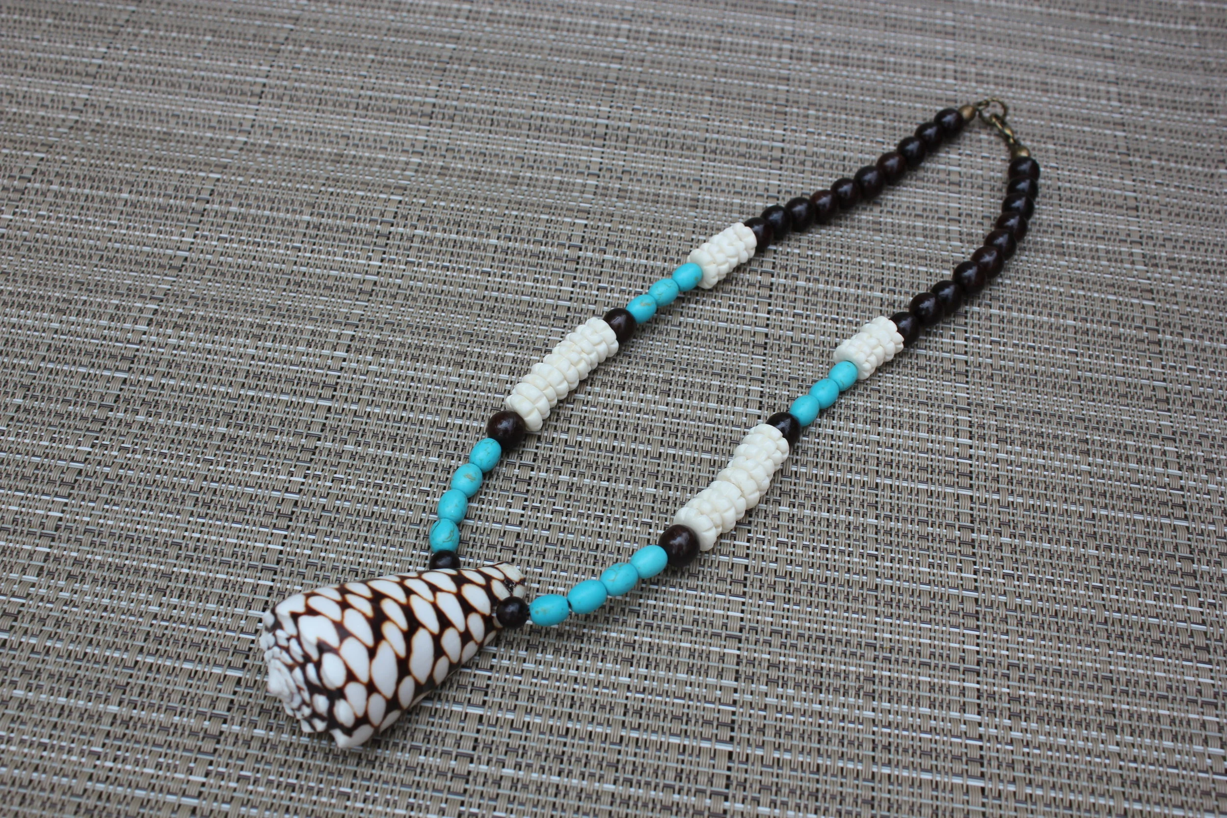 Spotted Cone Shell on Filipino Wood