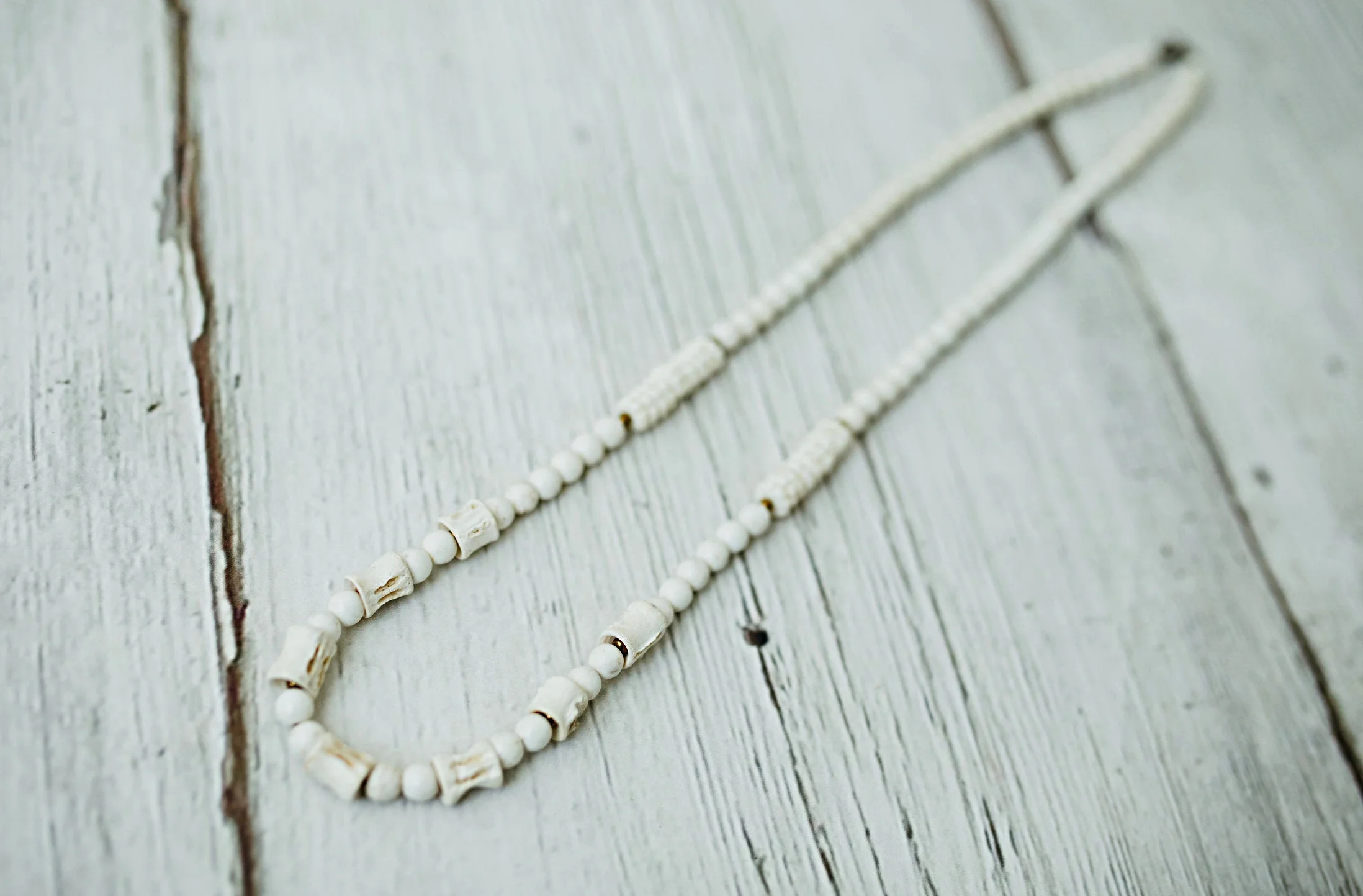 Vertebrae Bone on White Howlite
