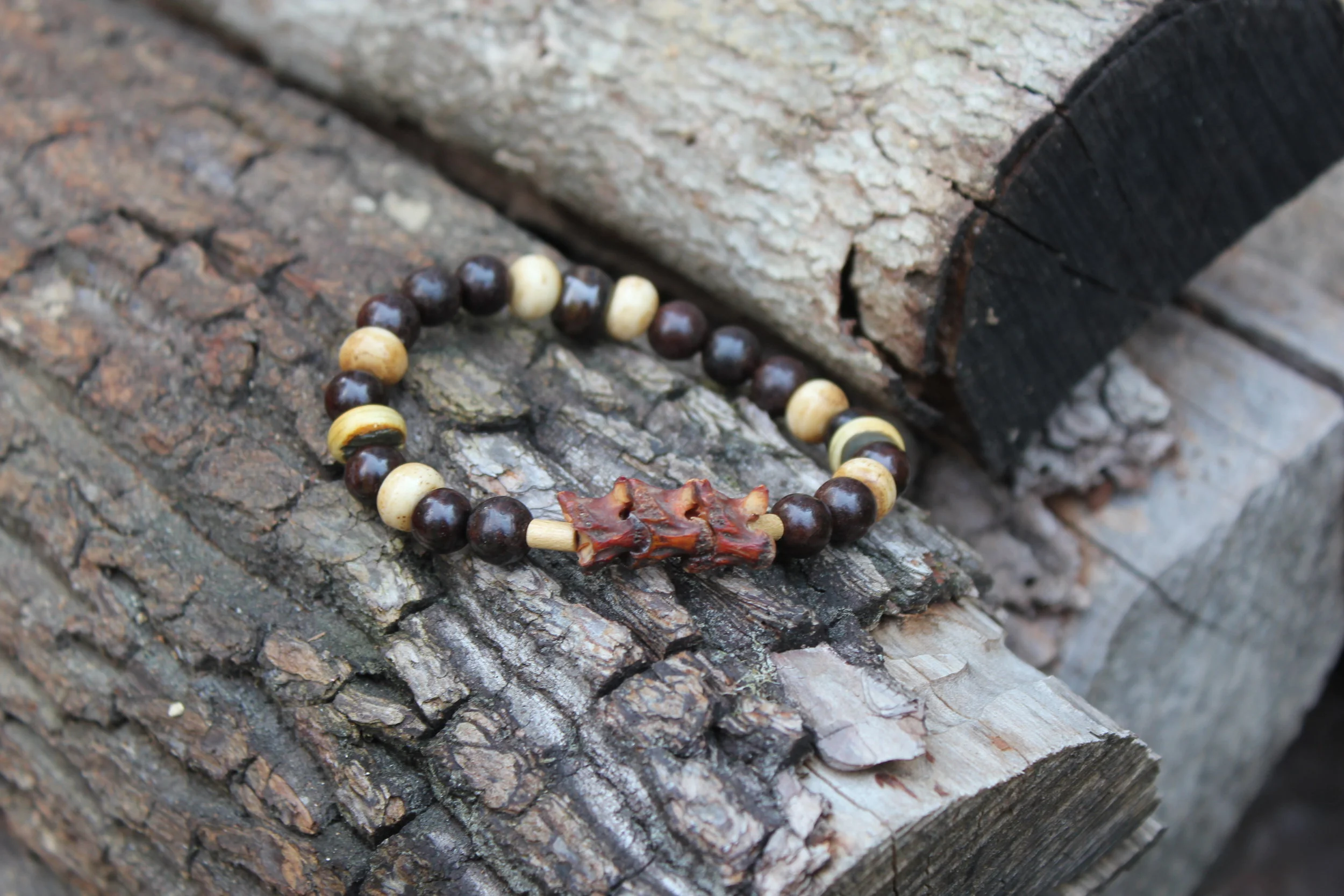 African Snake Vertebra + Ox Bone