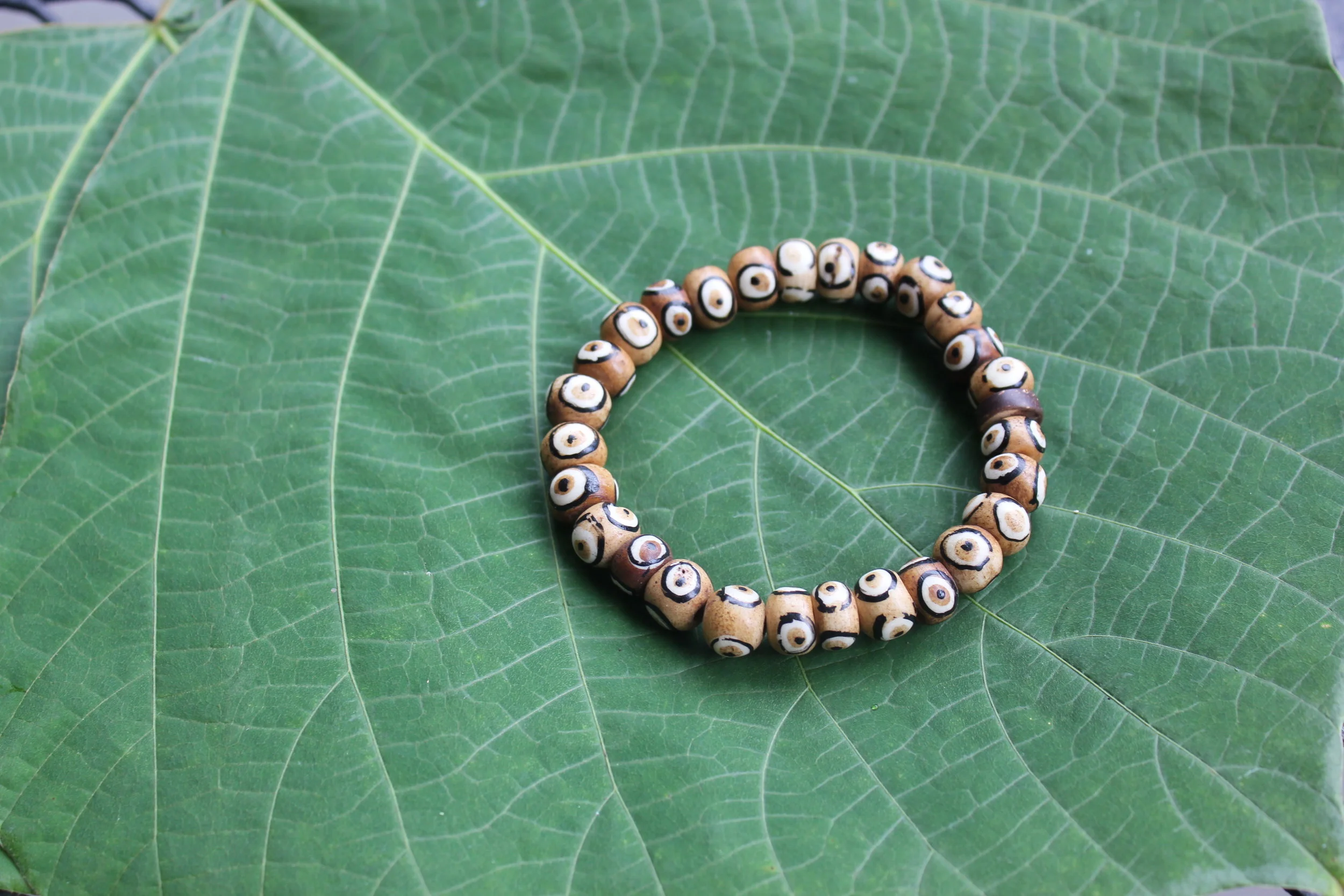 Buffalo Bone with Painted Detail