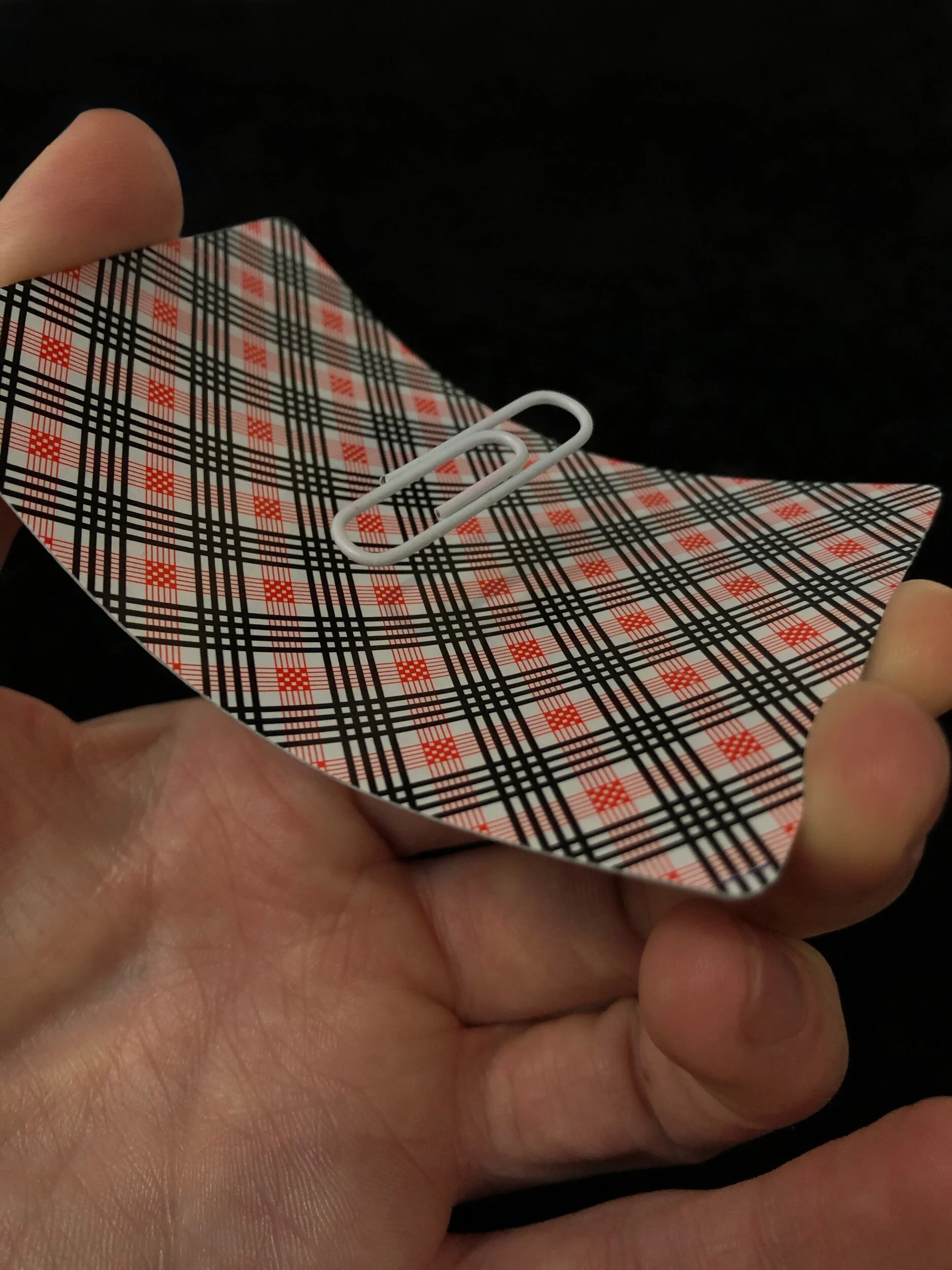 1F9398C9-21E2-4BEF-80BB-F3FE735DBB7B