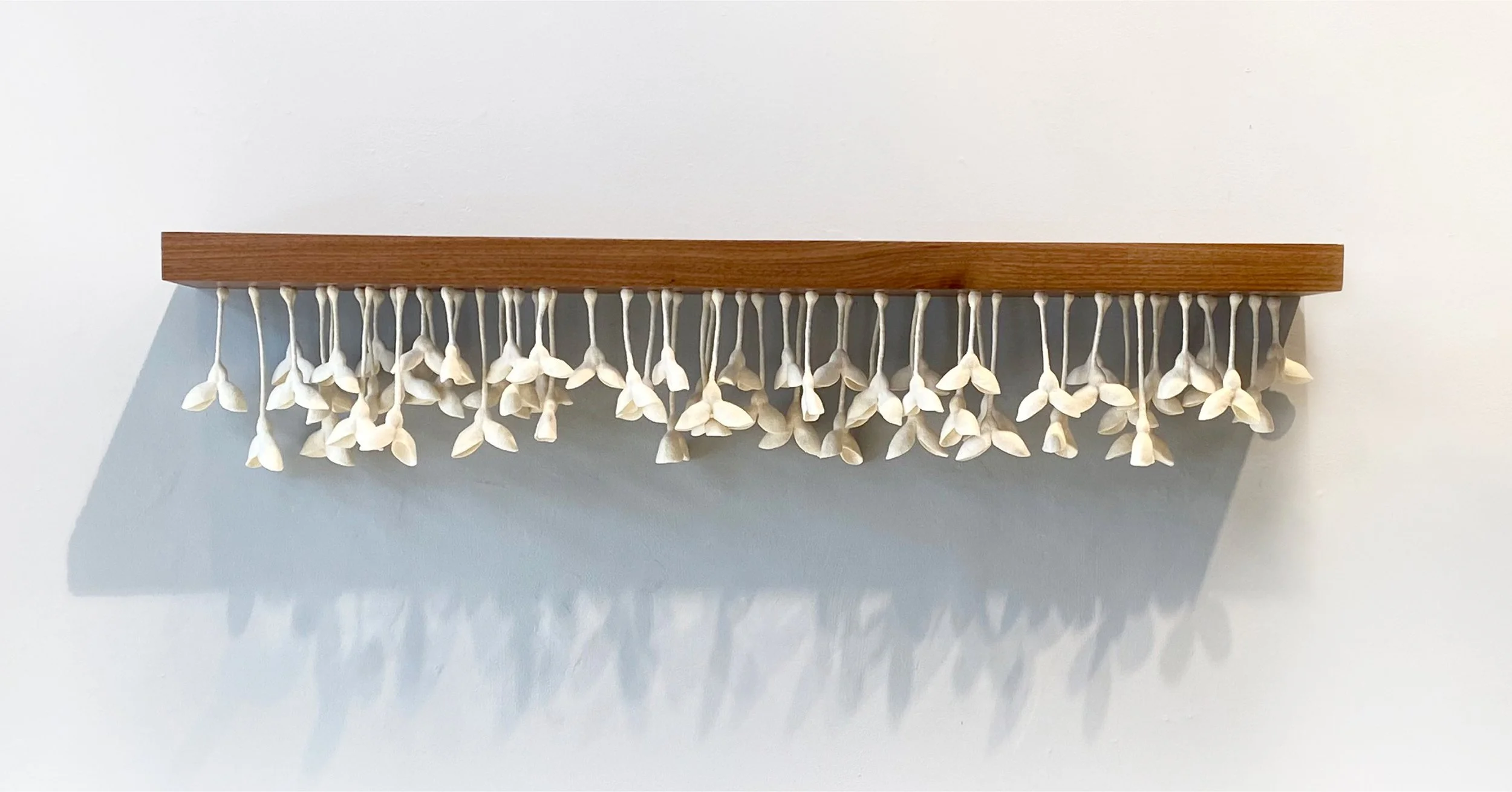 Seedbed, 48"x6"x8"