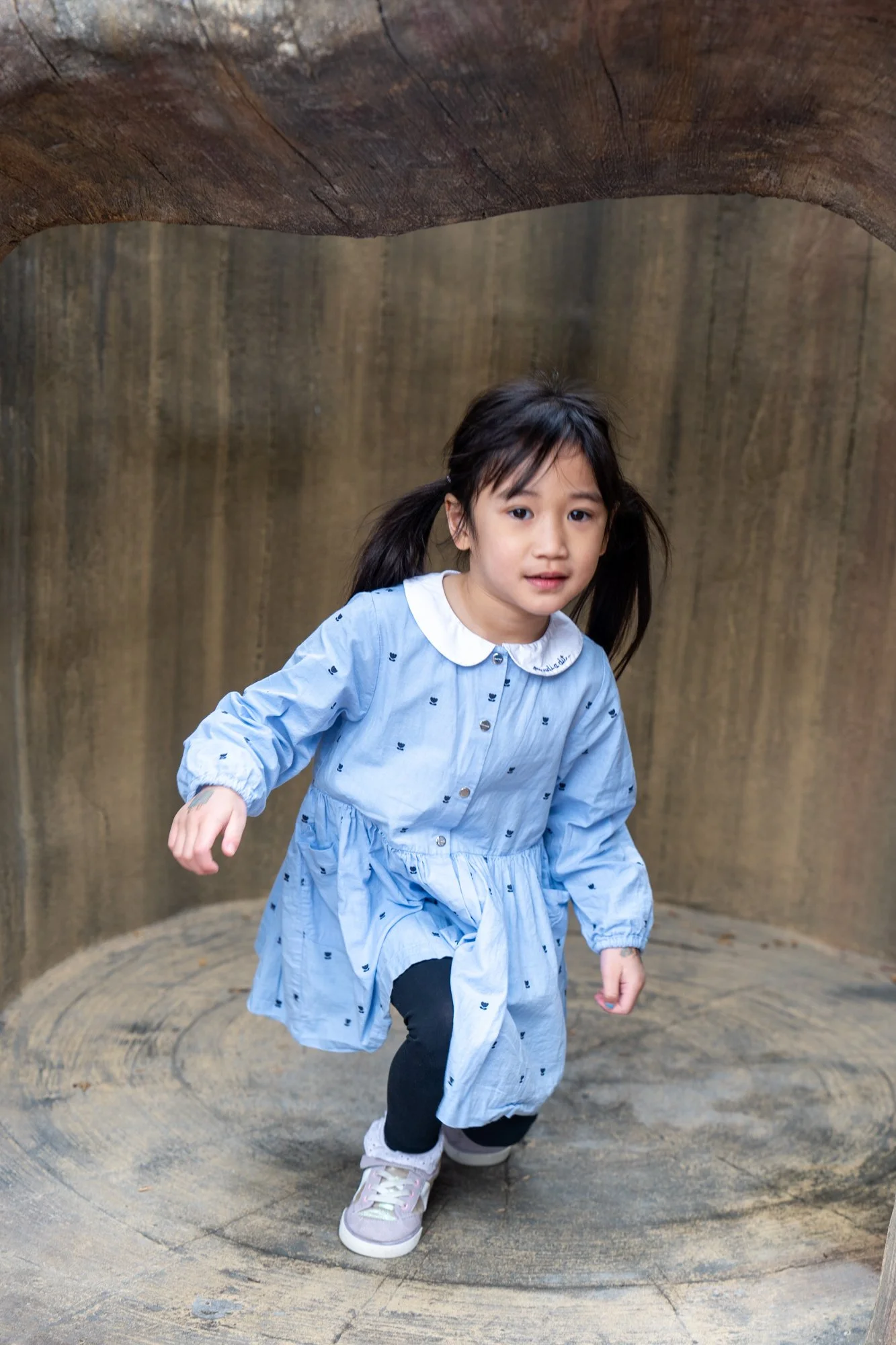 San Jose with Family (118 of 175).jpg