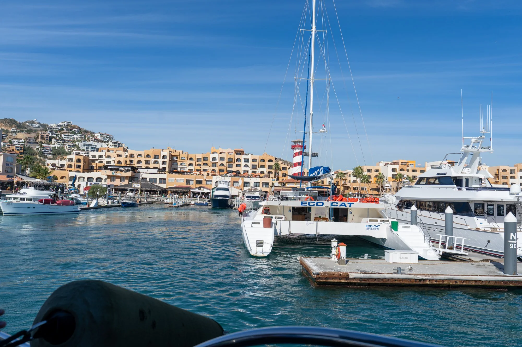 2025 Cabo San Lucas (Part 2) (193 of 311).jpg