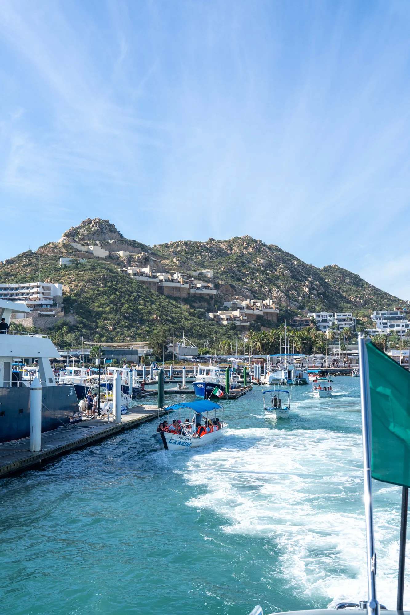 2025 Cabo San Lucas (Part 2) (196 of 311).jpg