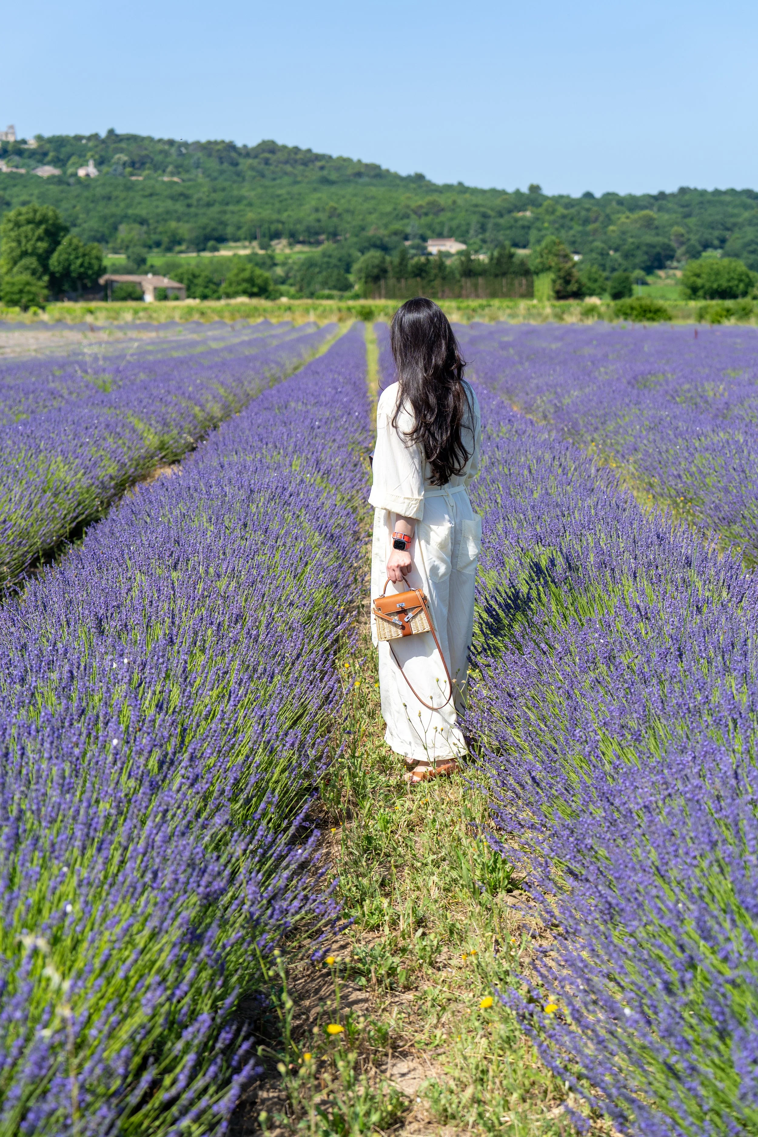 2026 Provence Part 1 (215 of 290).jpg
